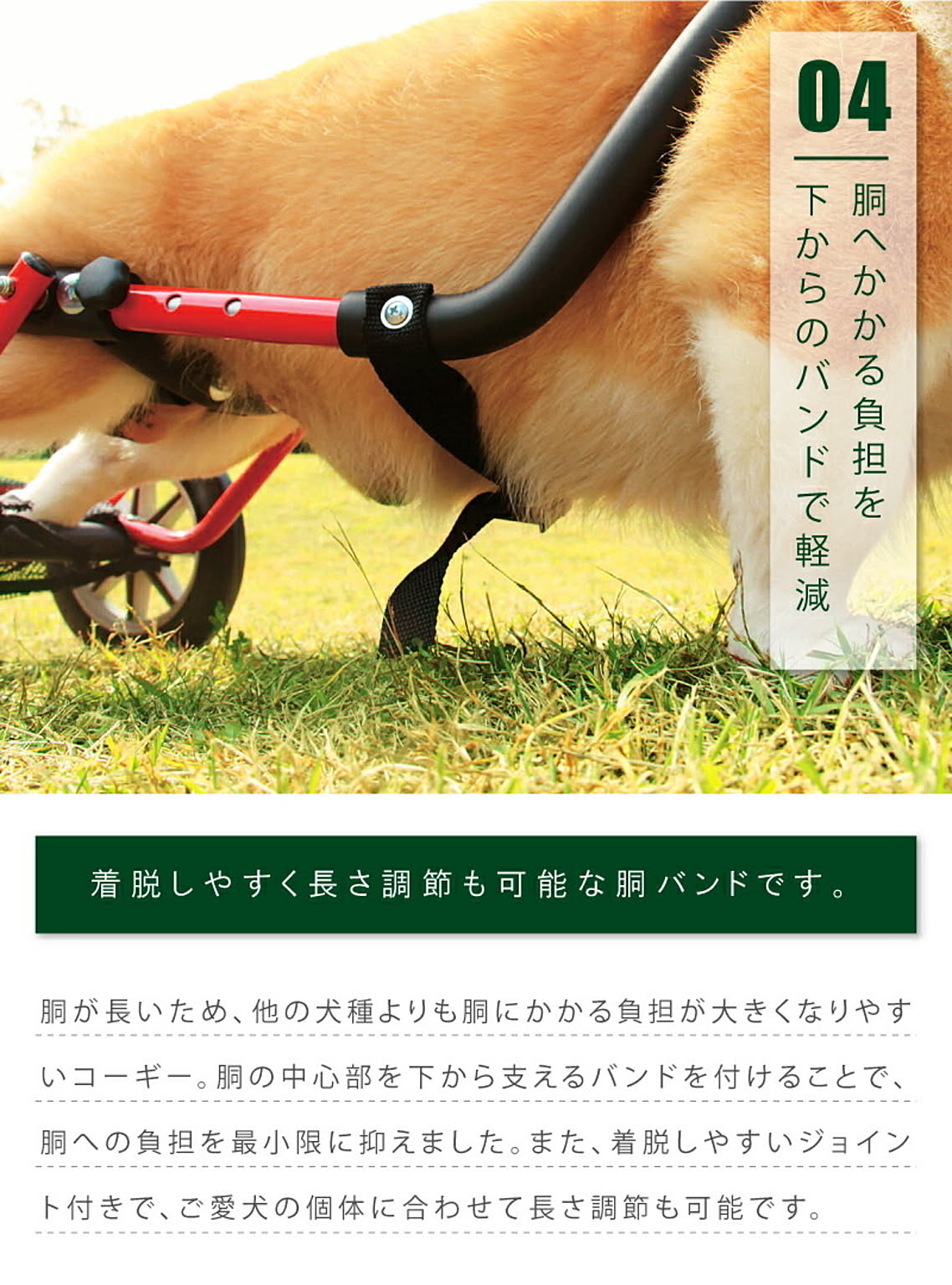 犬用インテリア・犬用家具
