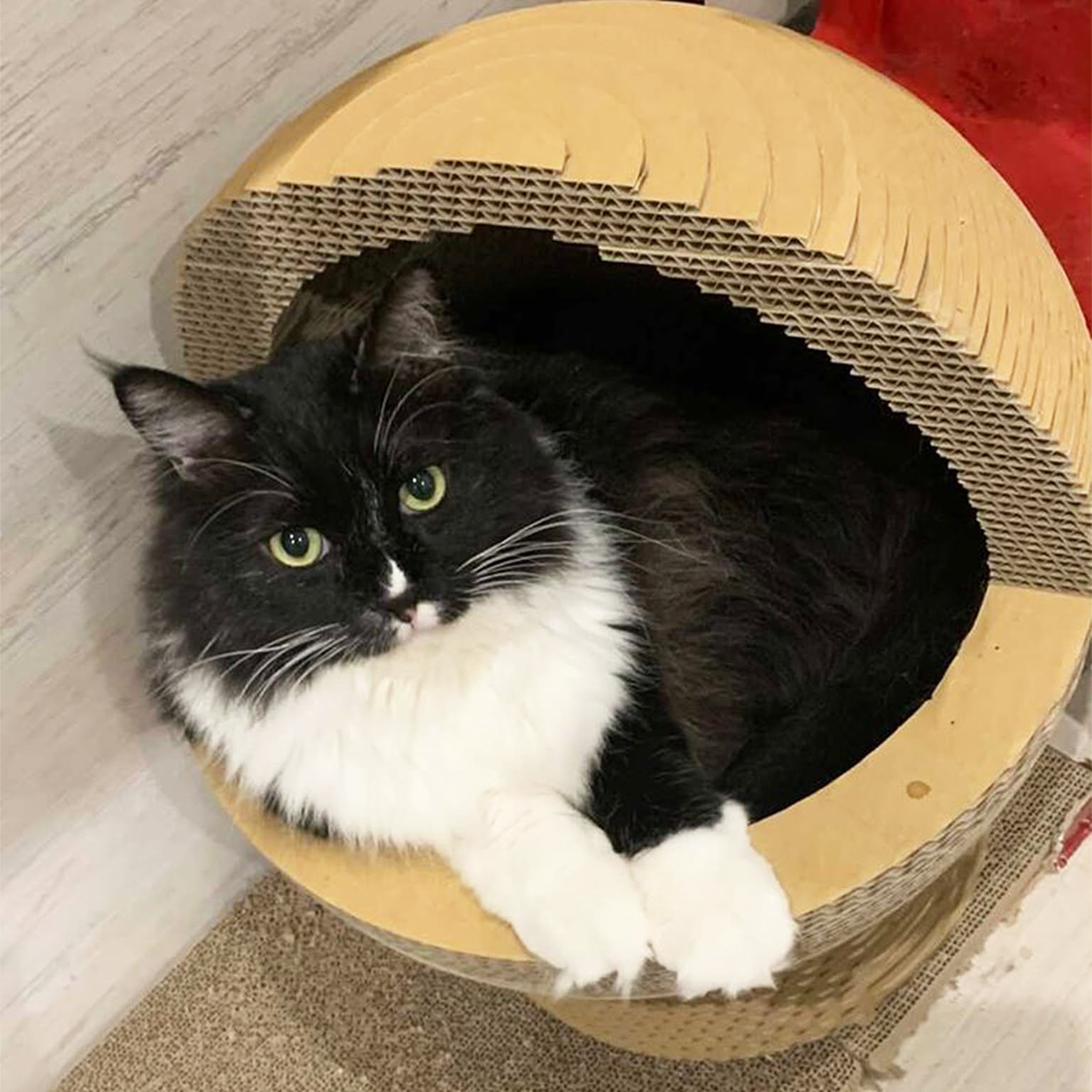 猫用インテリア・猫用家具