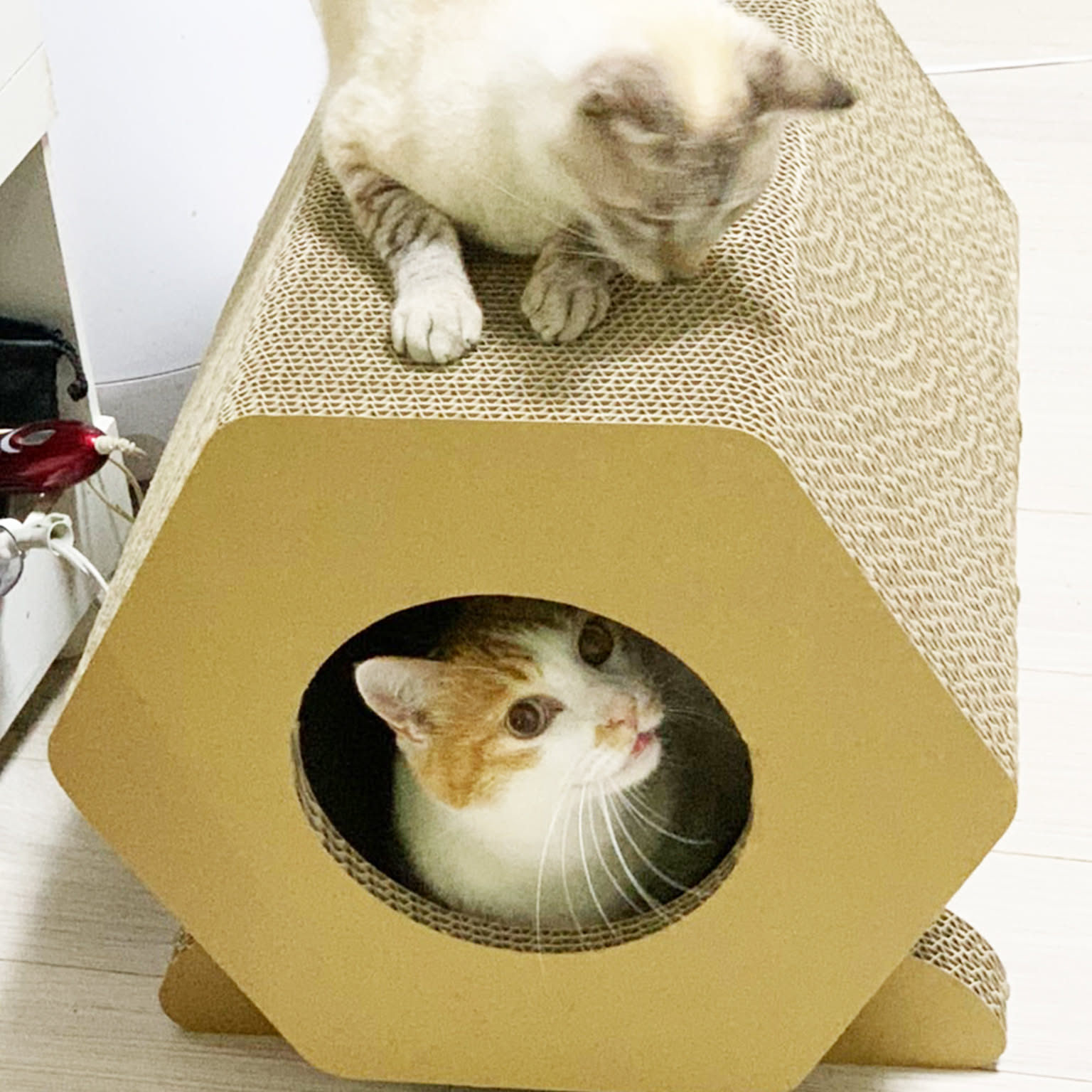 猫用インテリア・猫用家具