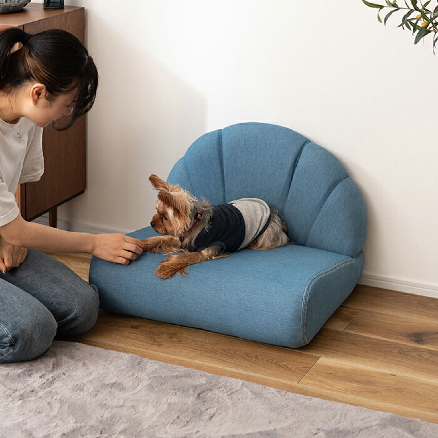 犬用インテリア・犬用家具