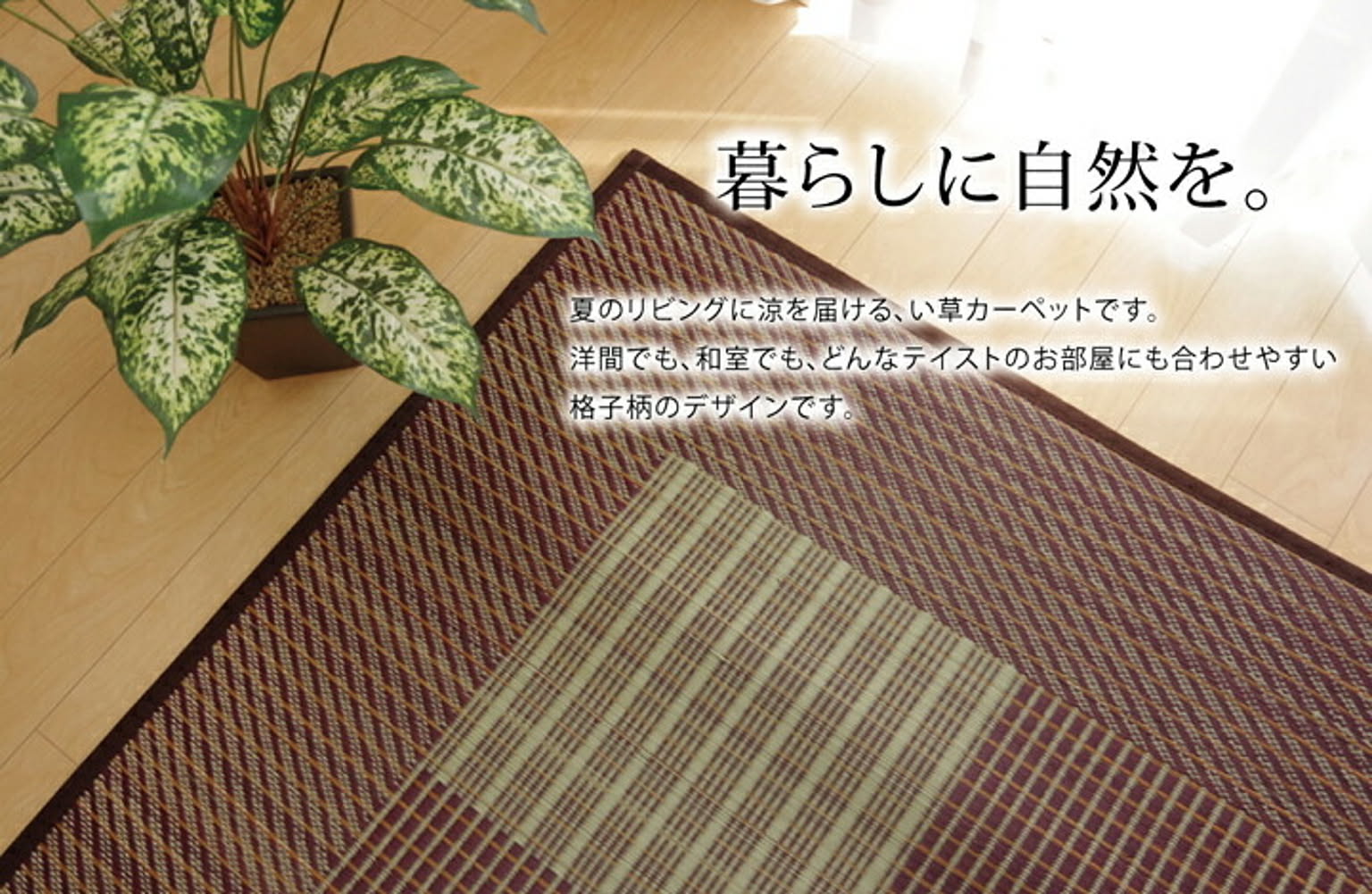 ござ・い草ラグ
