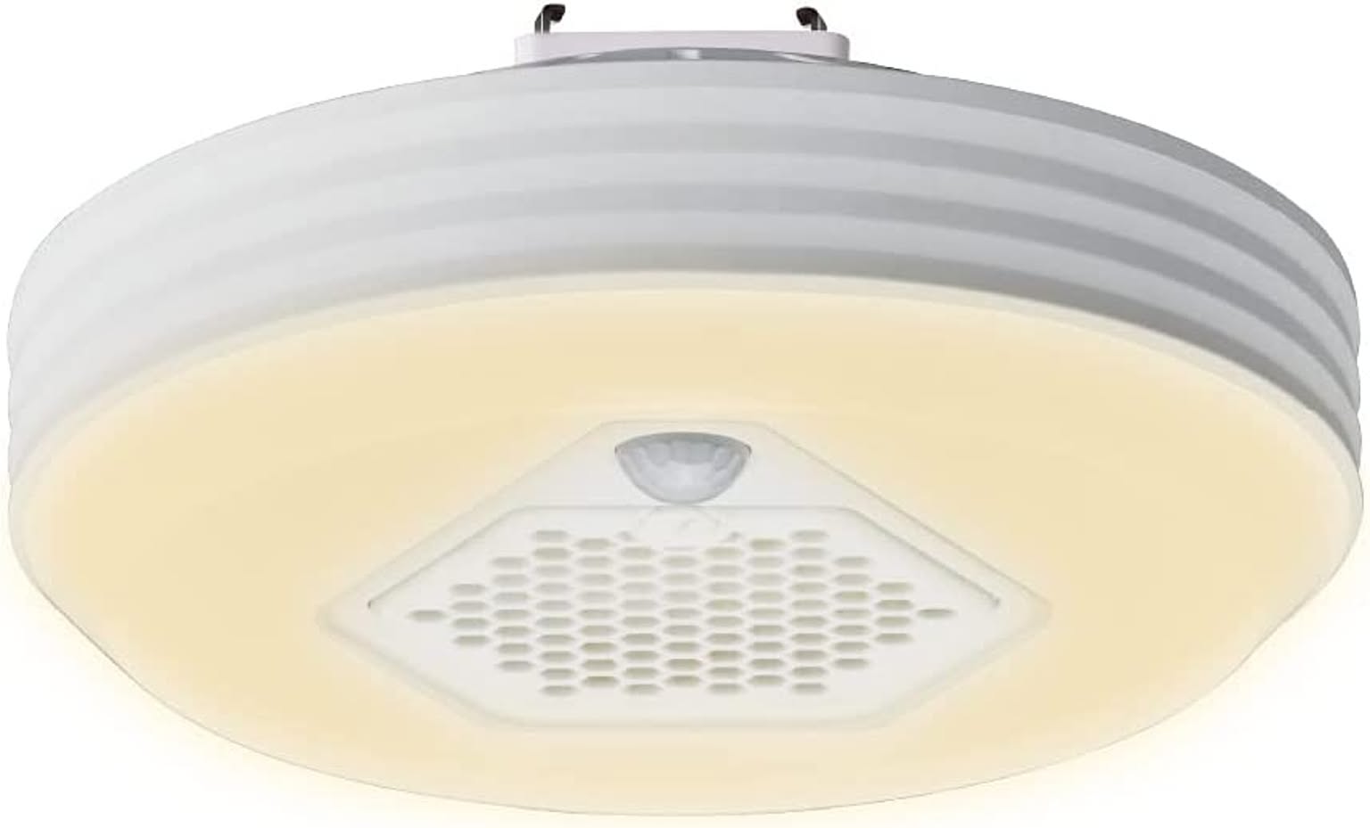 ドウシシャ オゾン発生器搭載 小型ライト 引掛モデル 人感センサー付き 60W 電球色 ルミナスLED