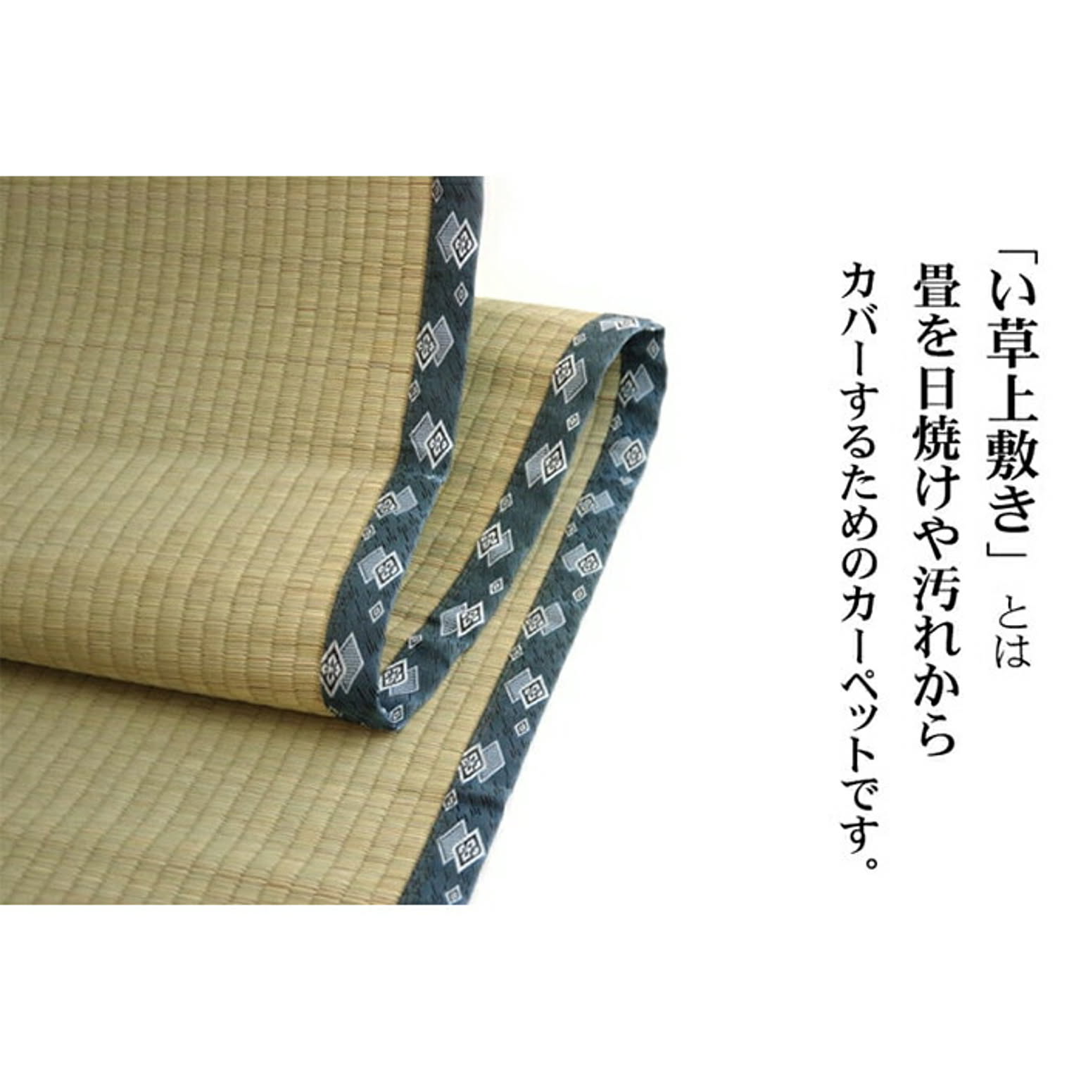 ござ・い草ラグ