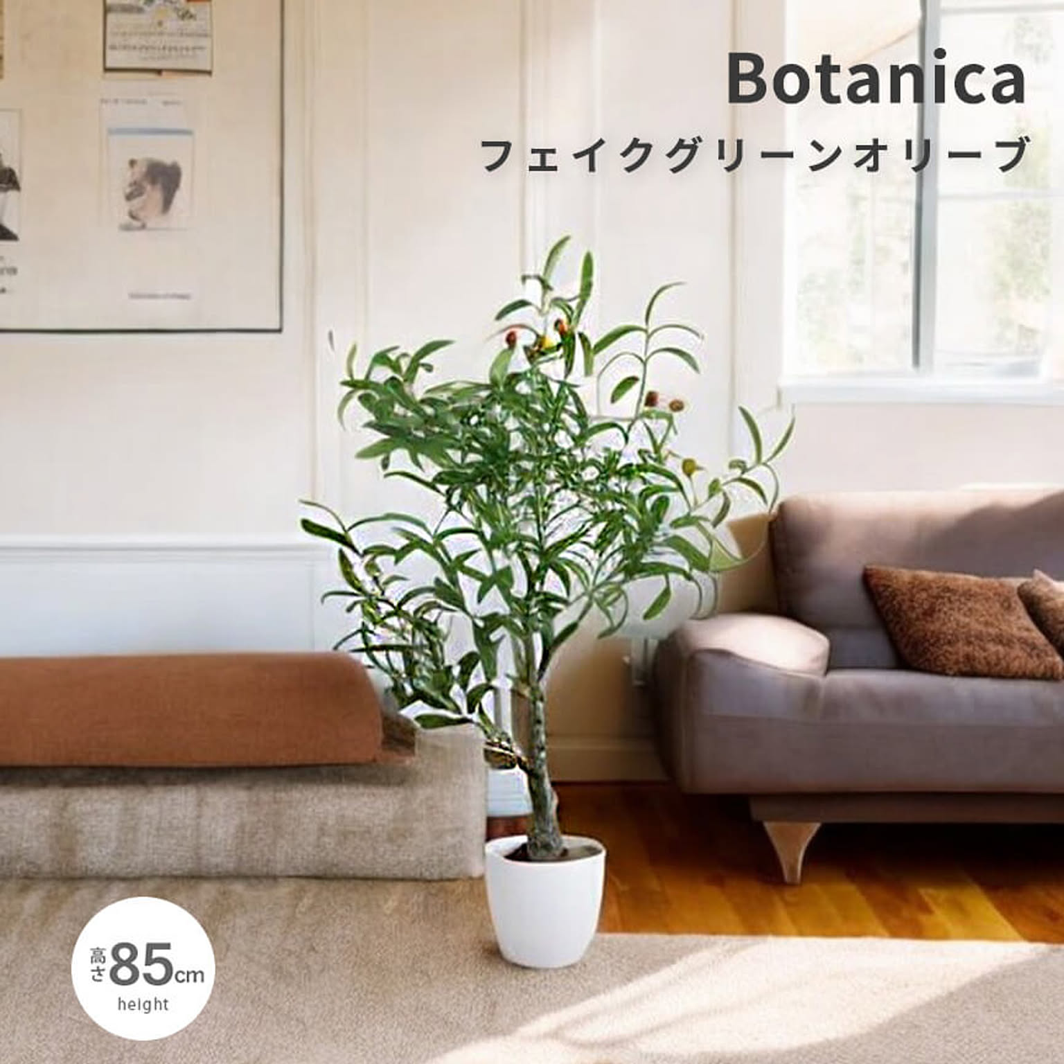 Botanica（ボタニカ） 光触媒 フェイクグリーン オリーブ m13484