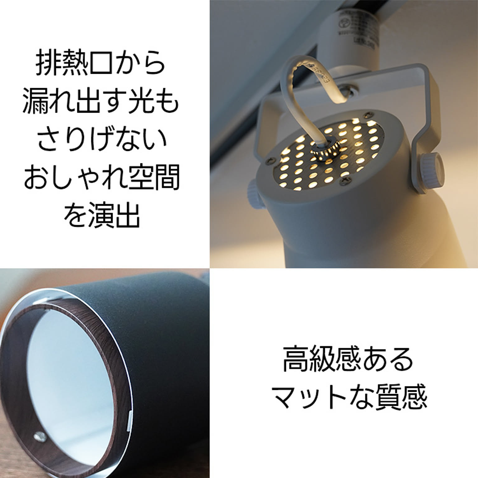 スポットライト