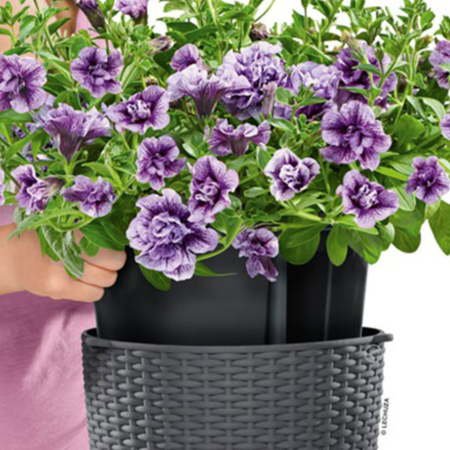 プランター・植木鉢