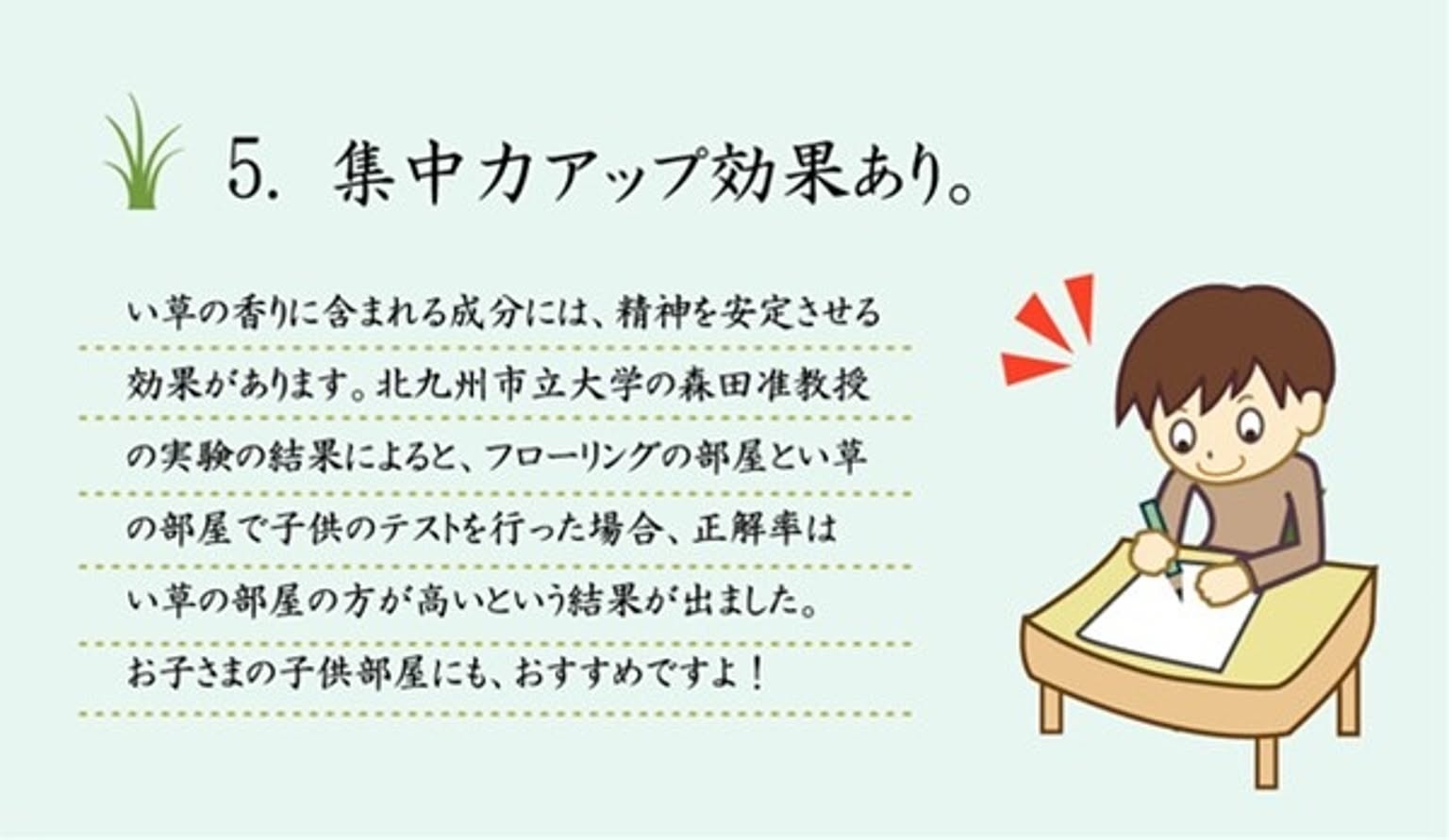 ござ・い草ラグ