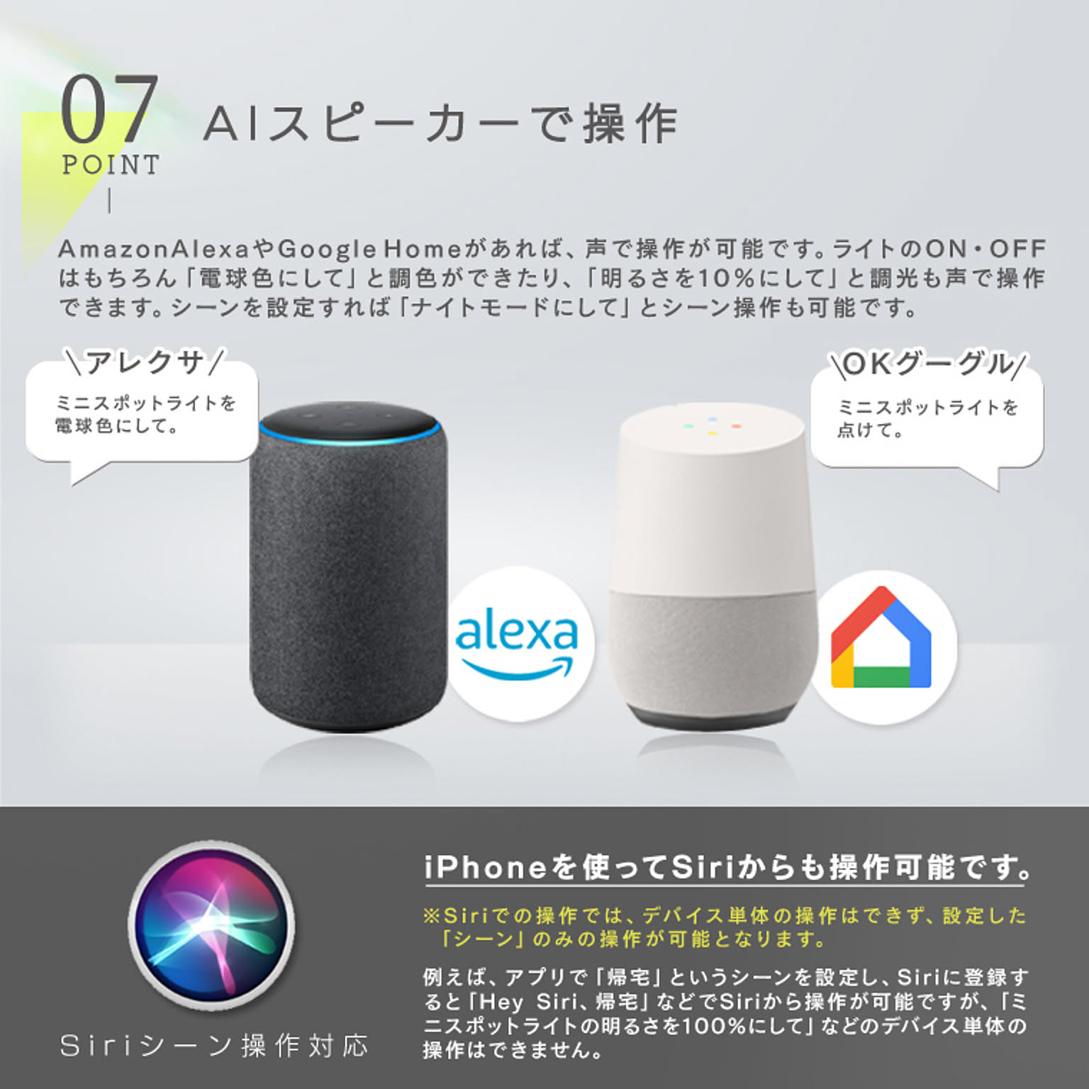 スポットライト