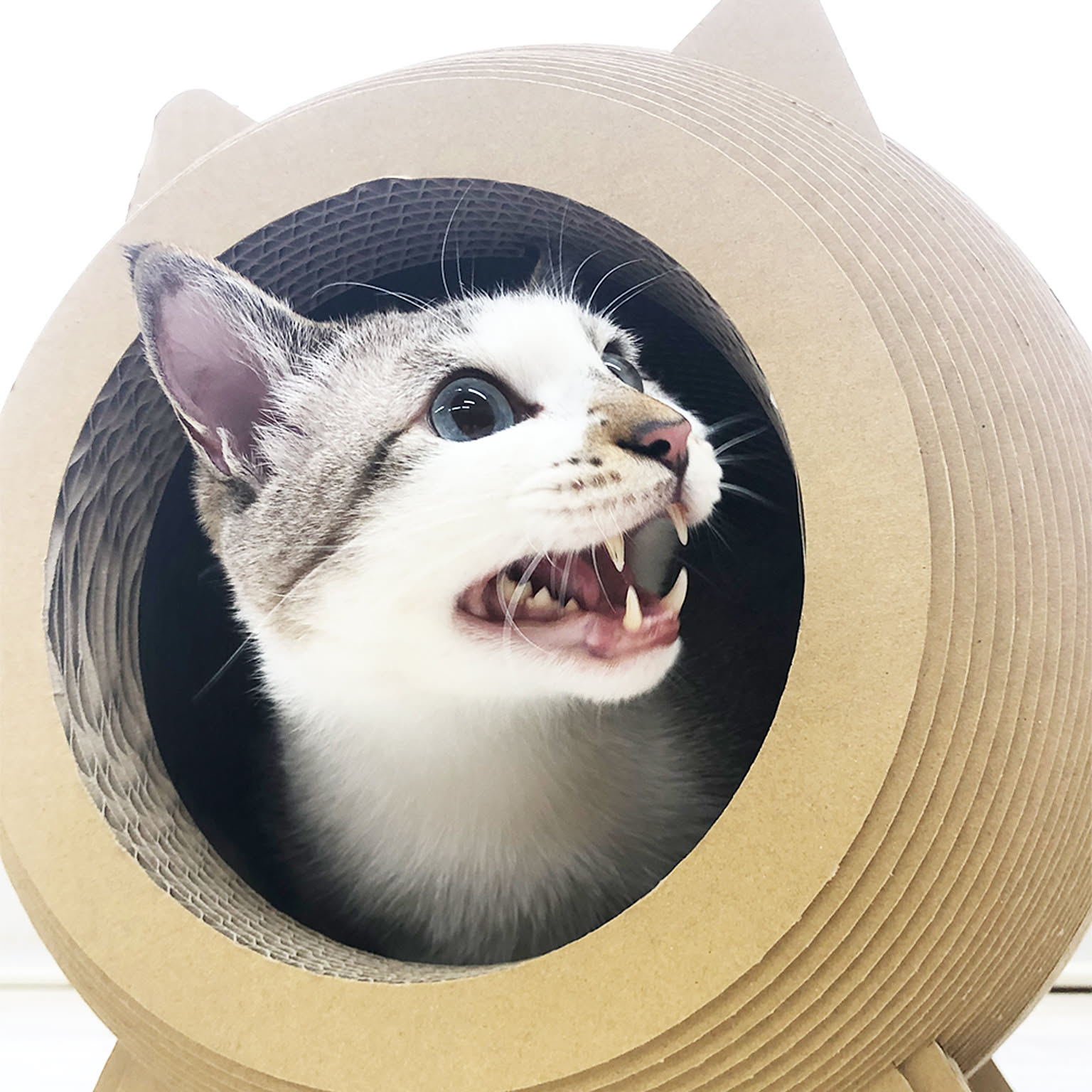猫用インテリア・猫用家具