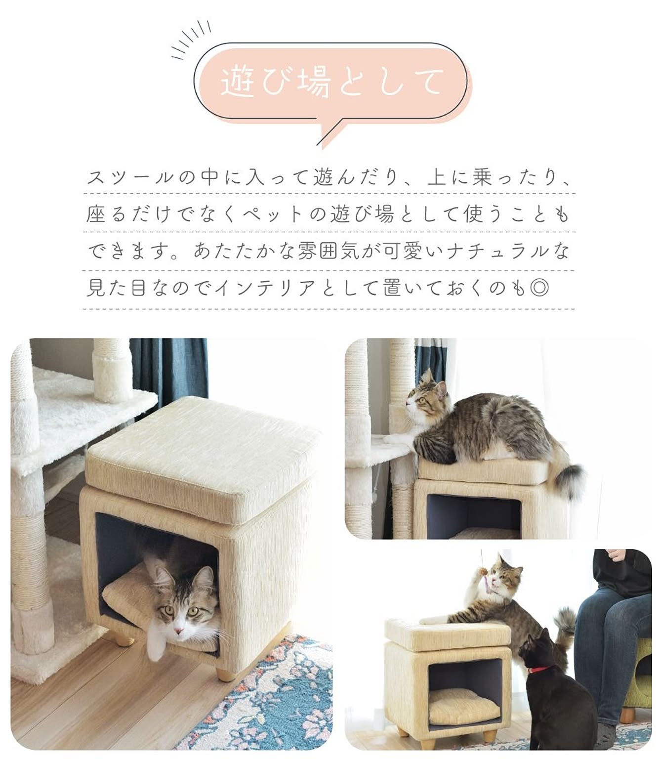 犬用インテリア・犬用家具