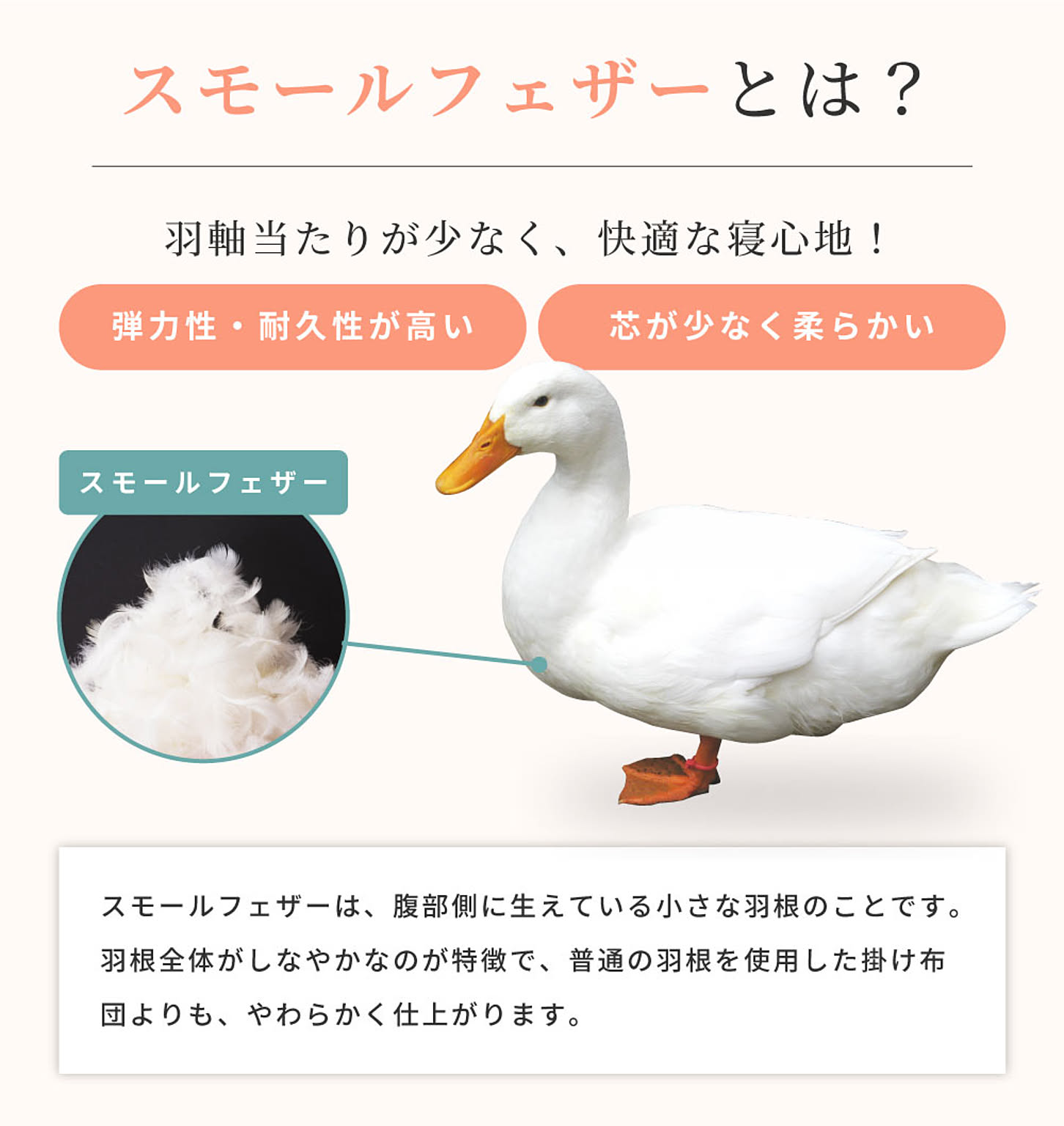 布団セット