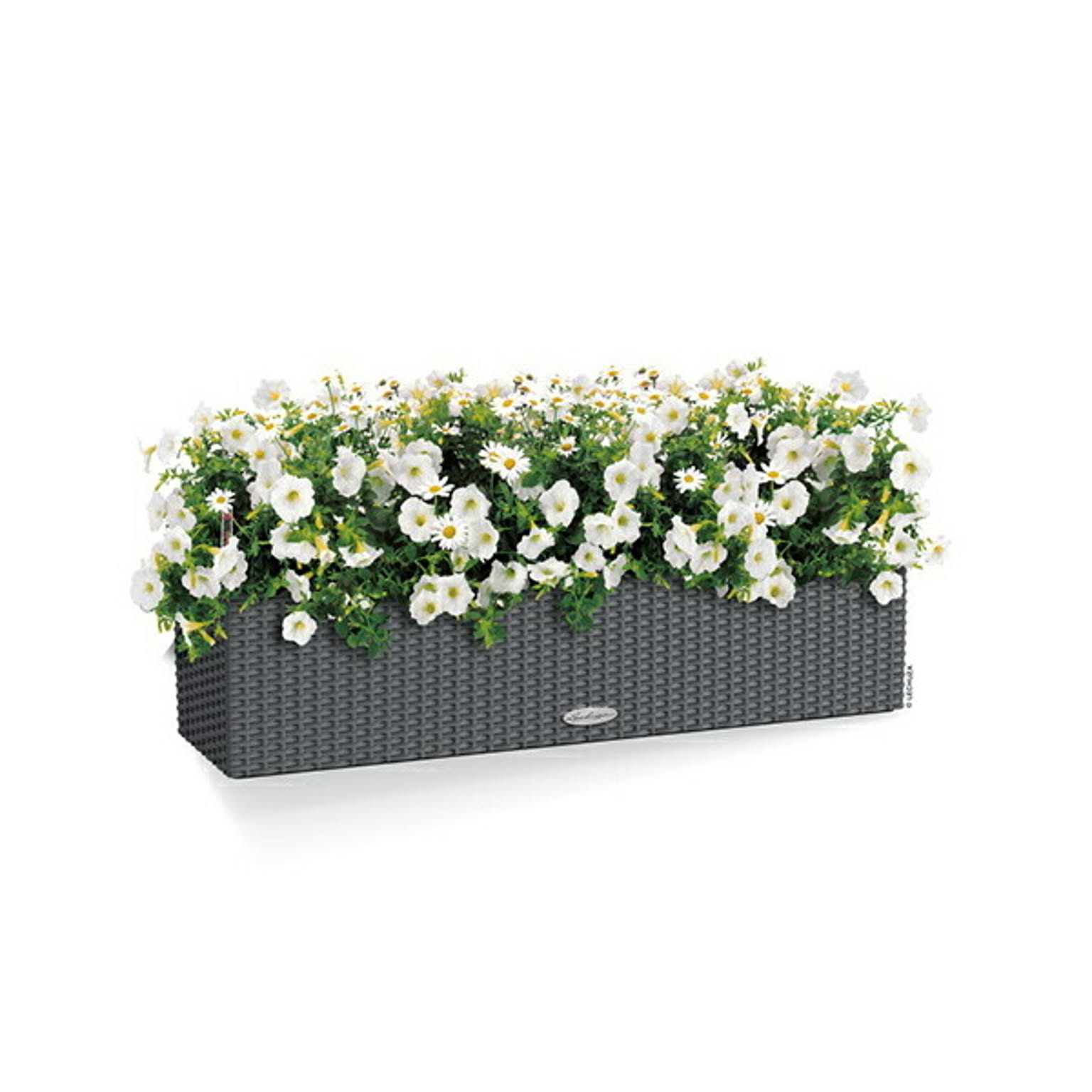 プランター・植木鉢