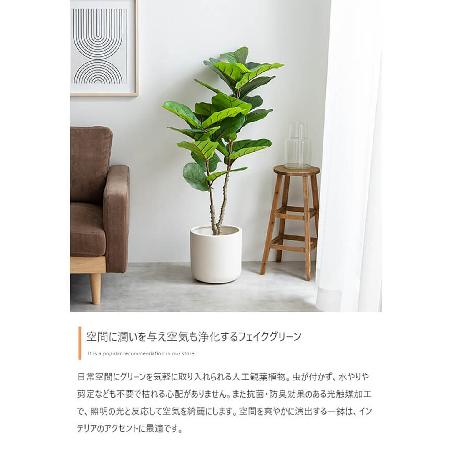 観葉植物