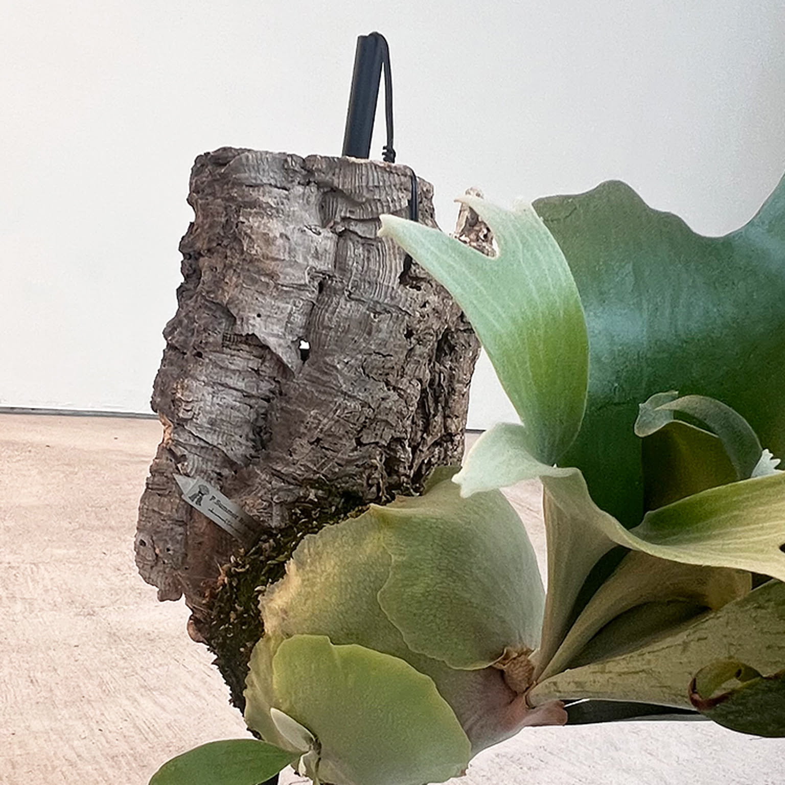 フラワースタンド・花台