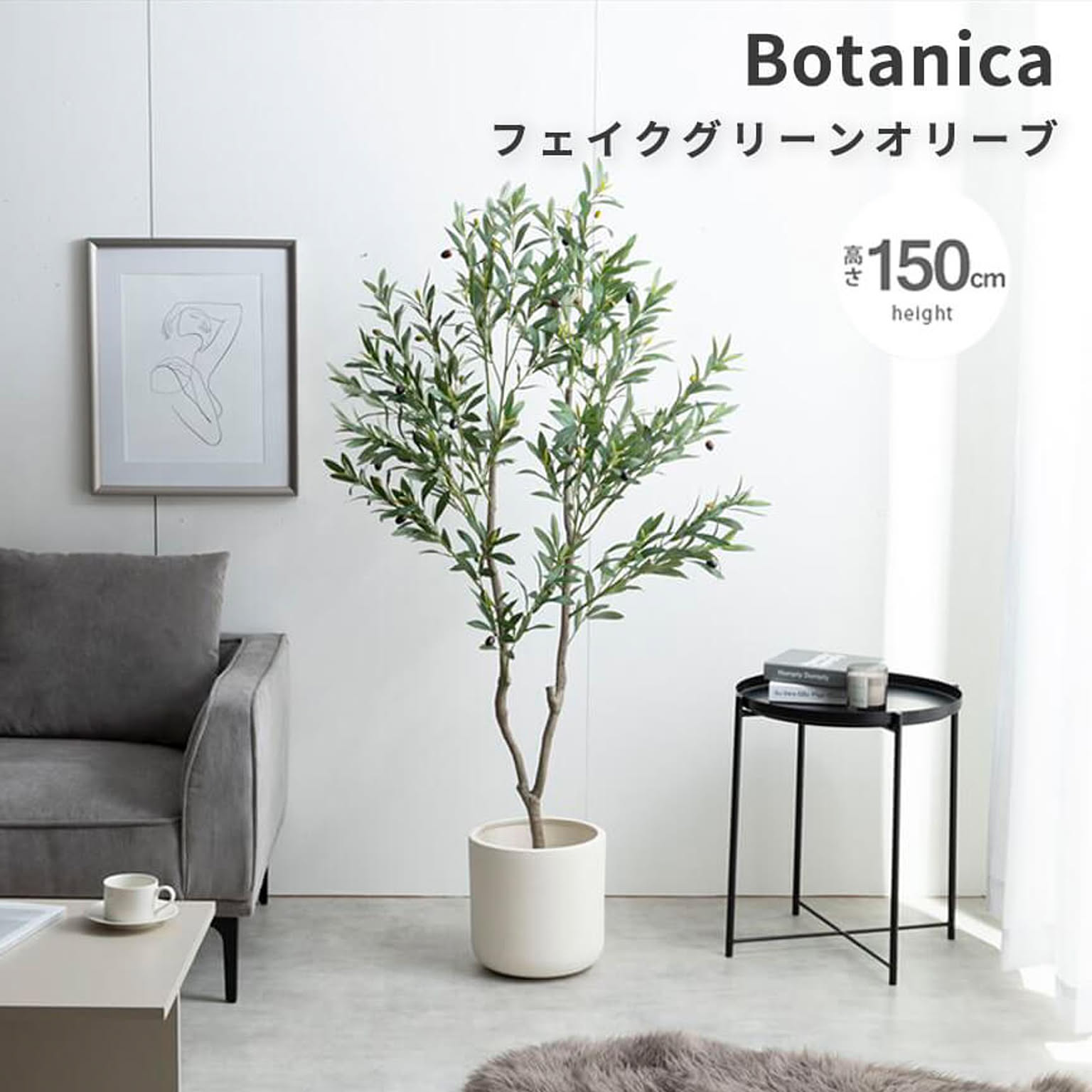 Botanica（ボタニカ） 光触媒 フェイクグリーン オリーブ m13496