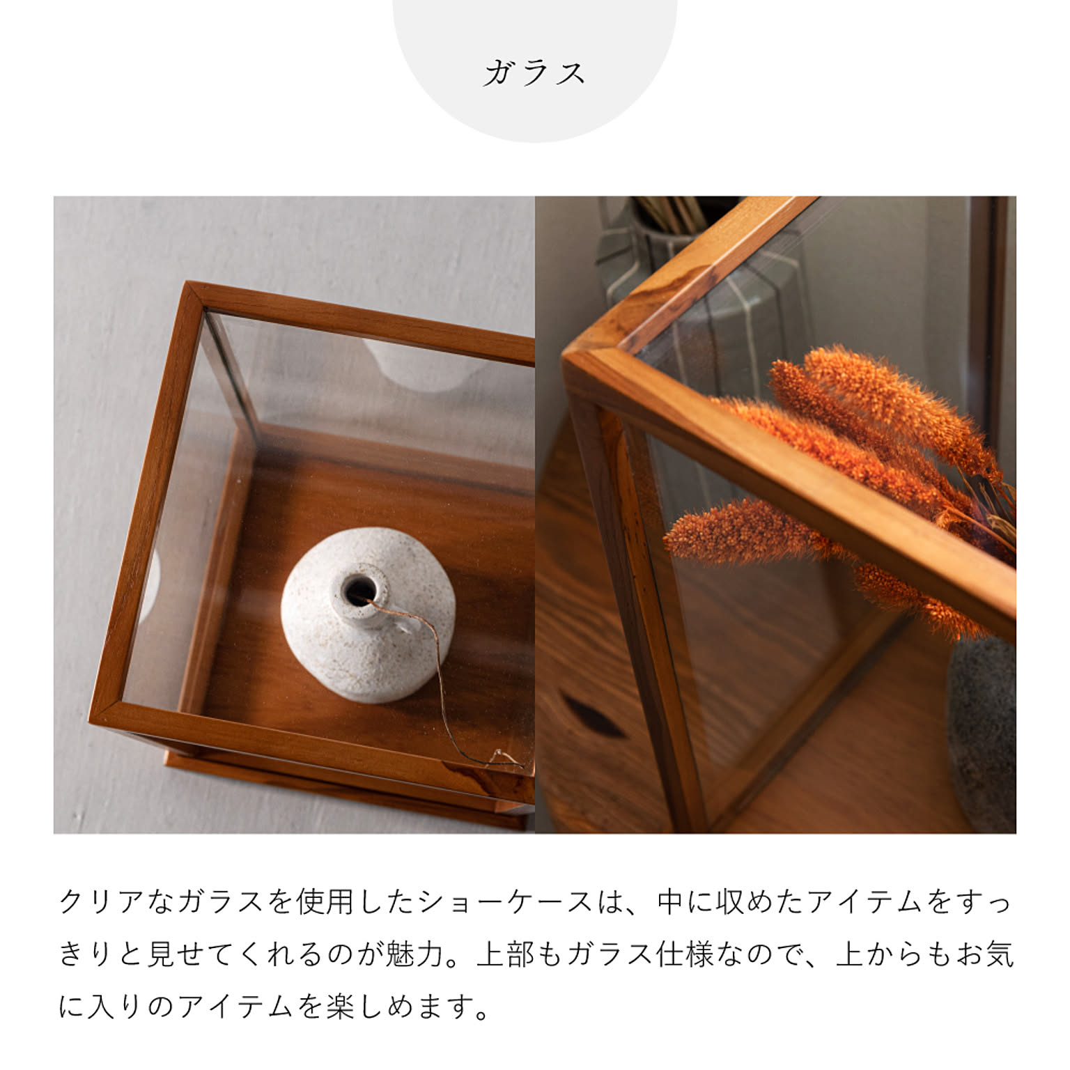 コレクションケース