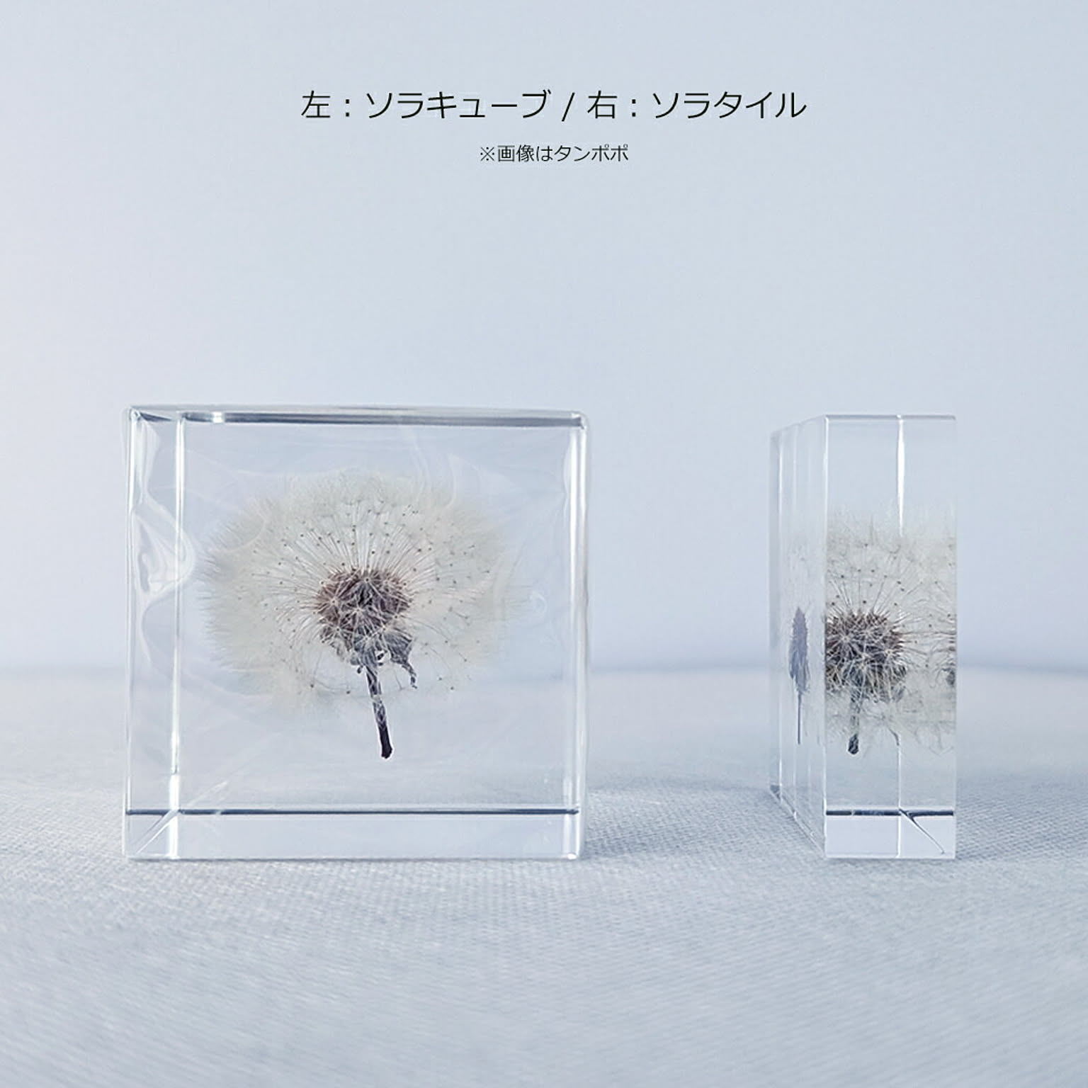 置物・オブジェ