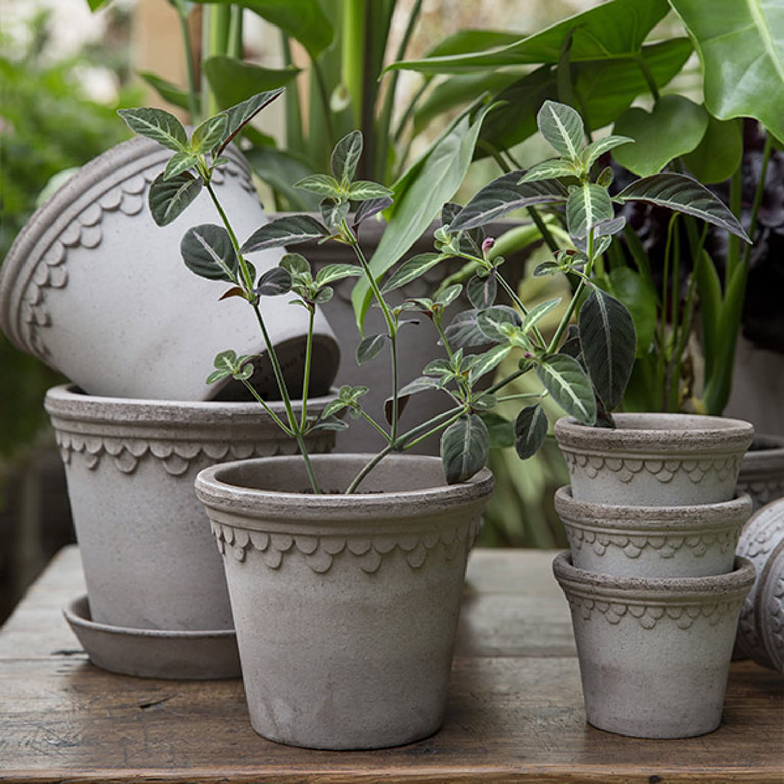 プランター・植木鉢