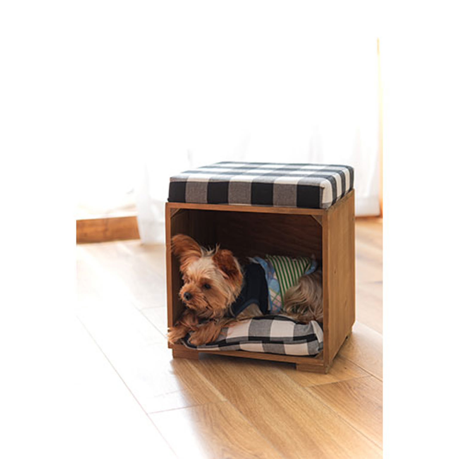 犬用インテリア・犬用家具