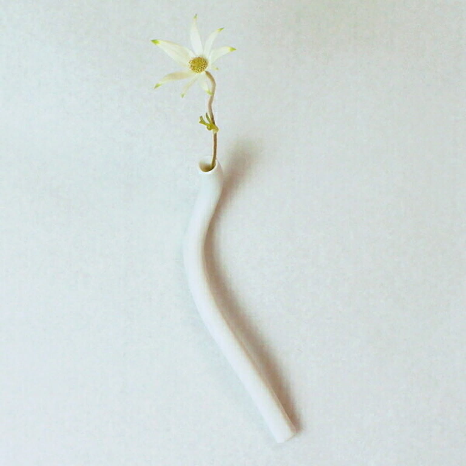 花瓶・フラワーベース