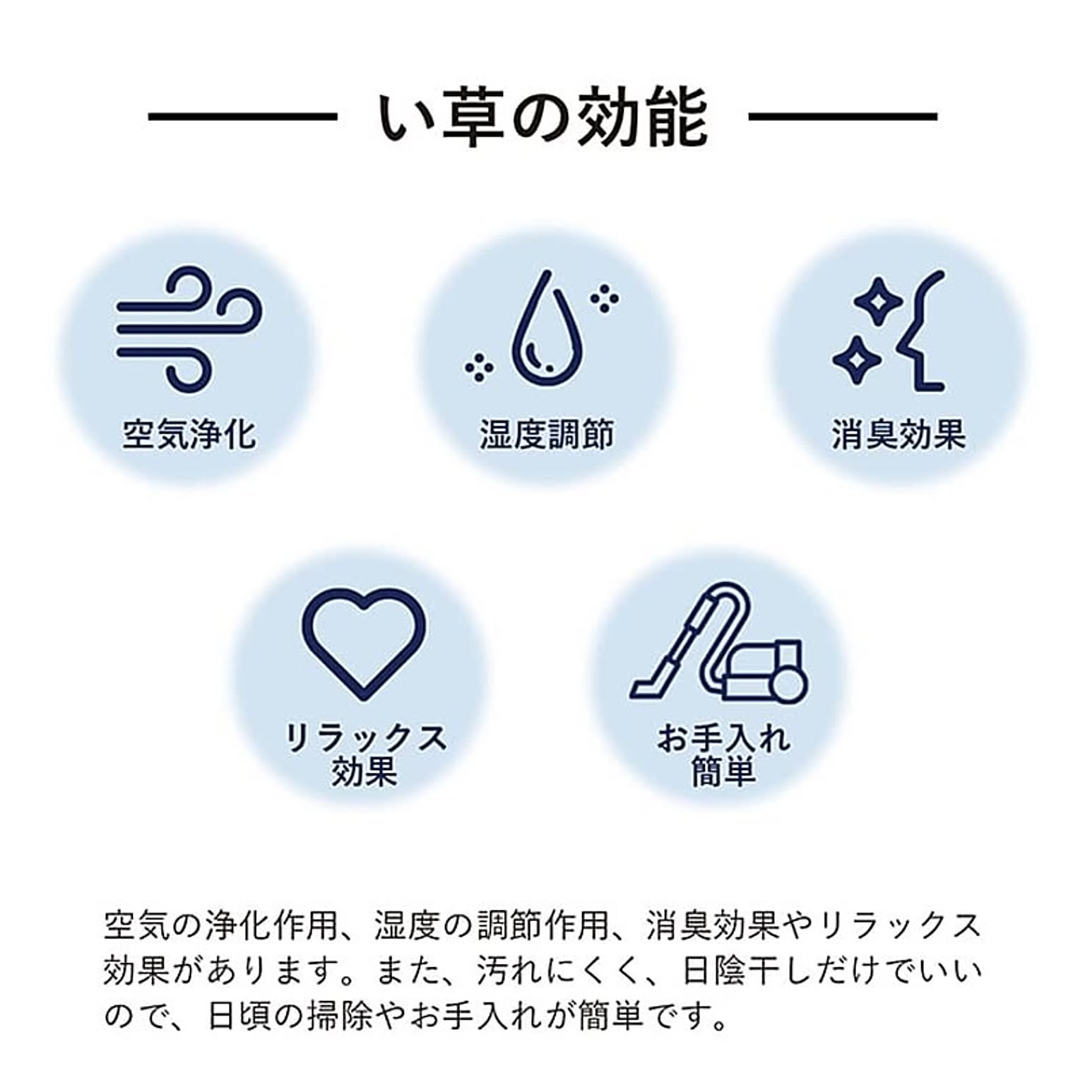 ござ・い草ラグ