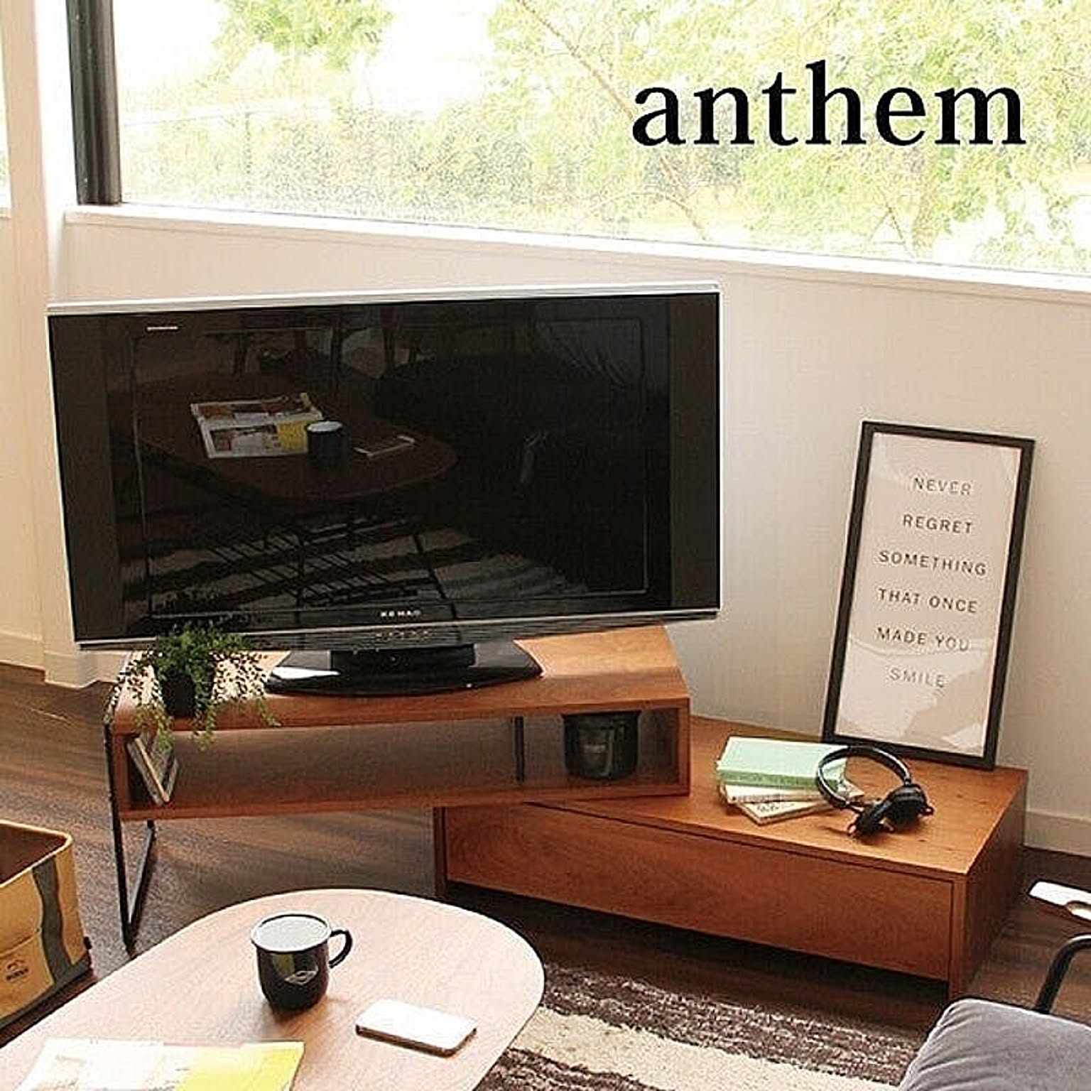 anthem(アンセム) TVボード