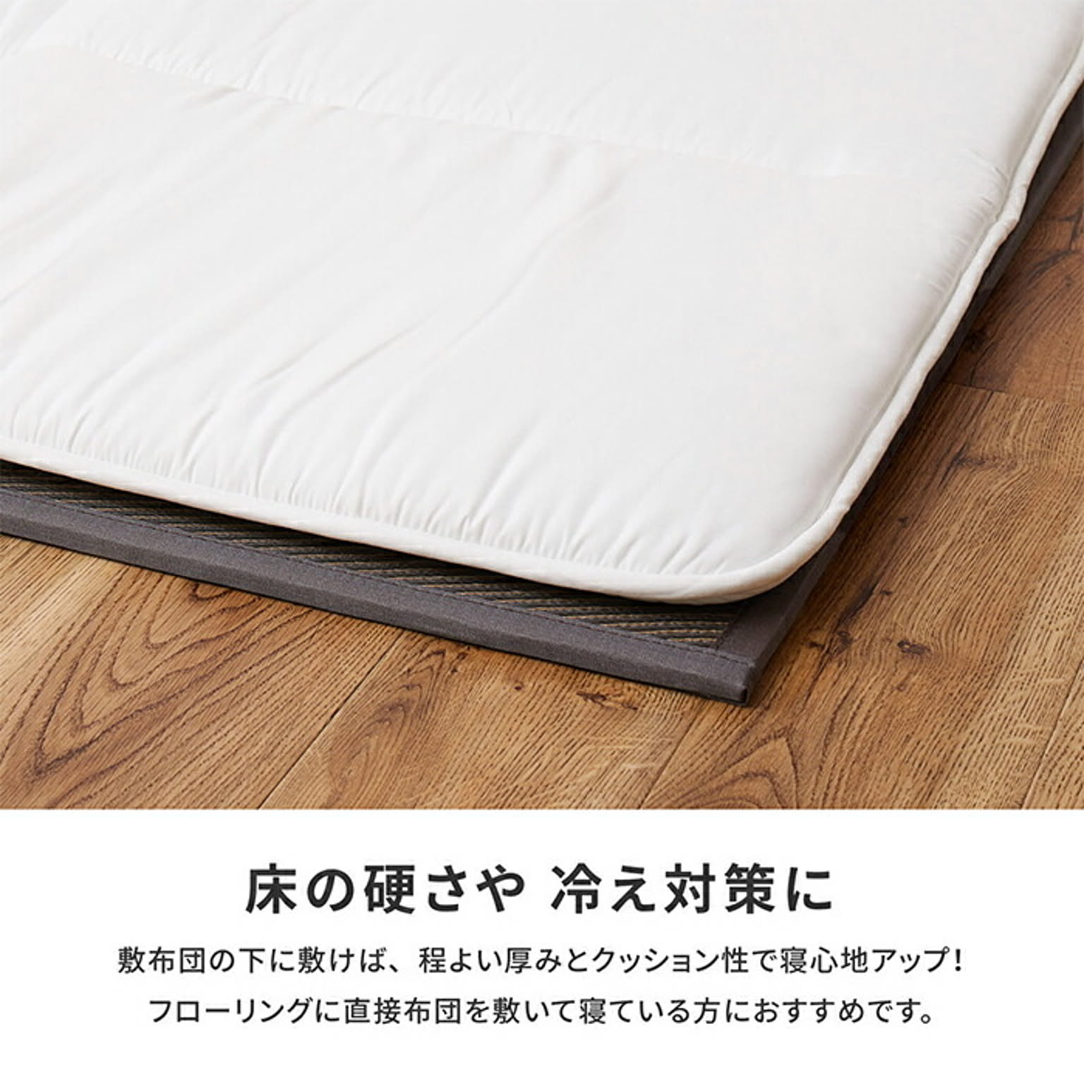 ござ・い草ラグ