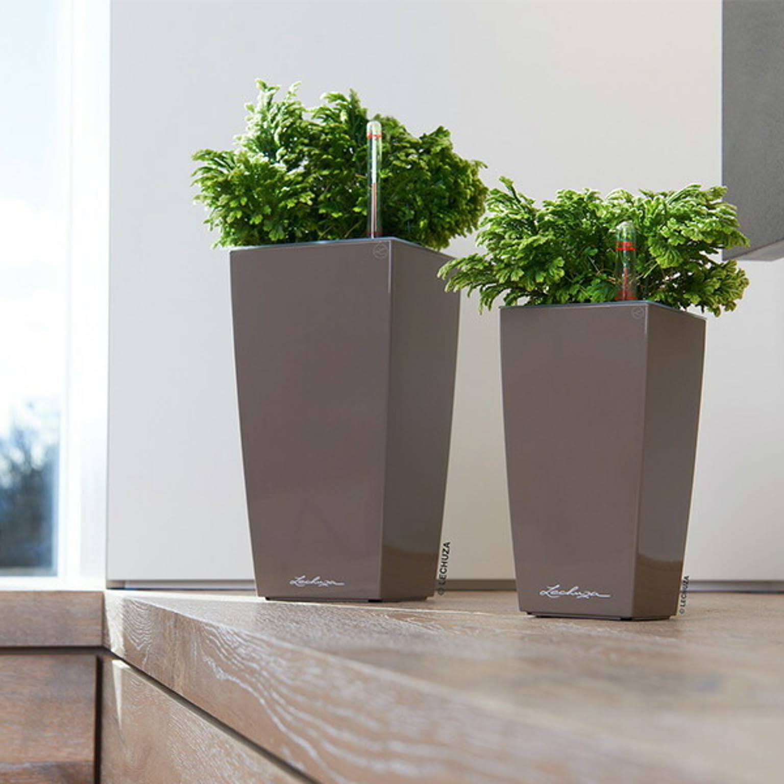 プランター・植木鉢