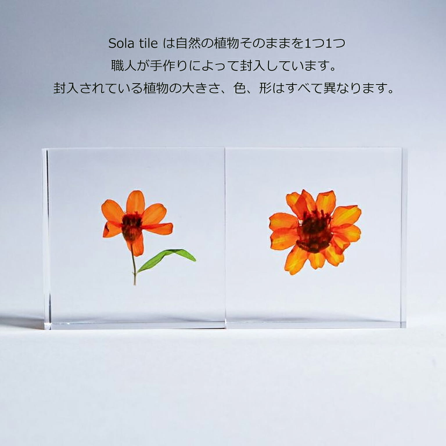 置物・オブジェ
