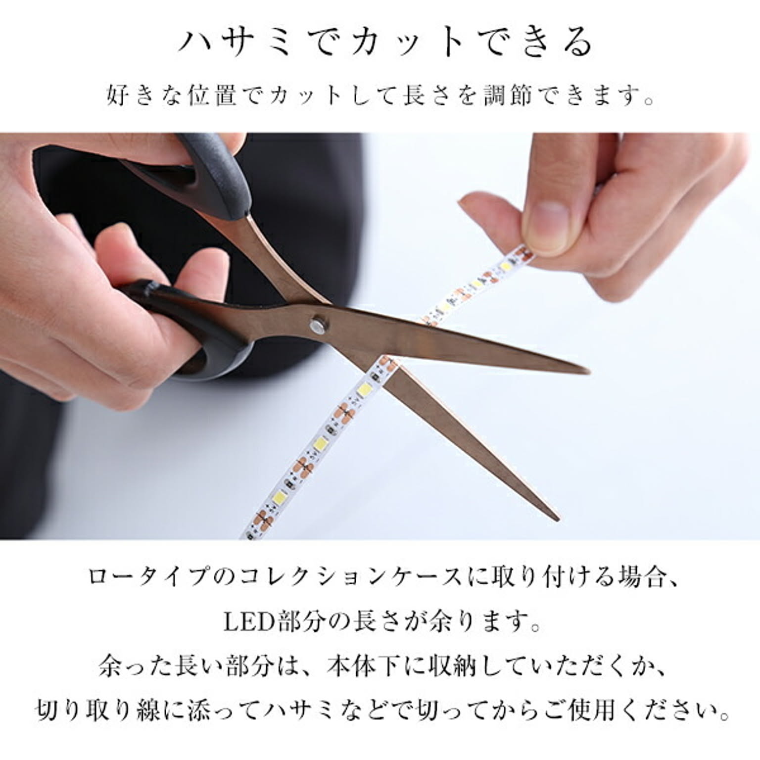 コレクションケース