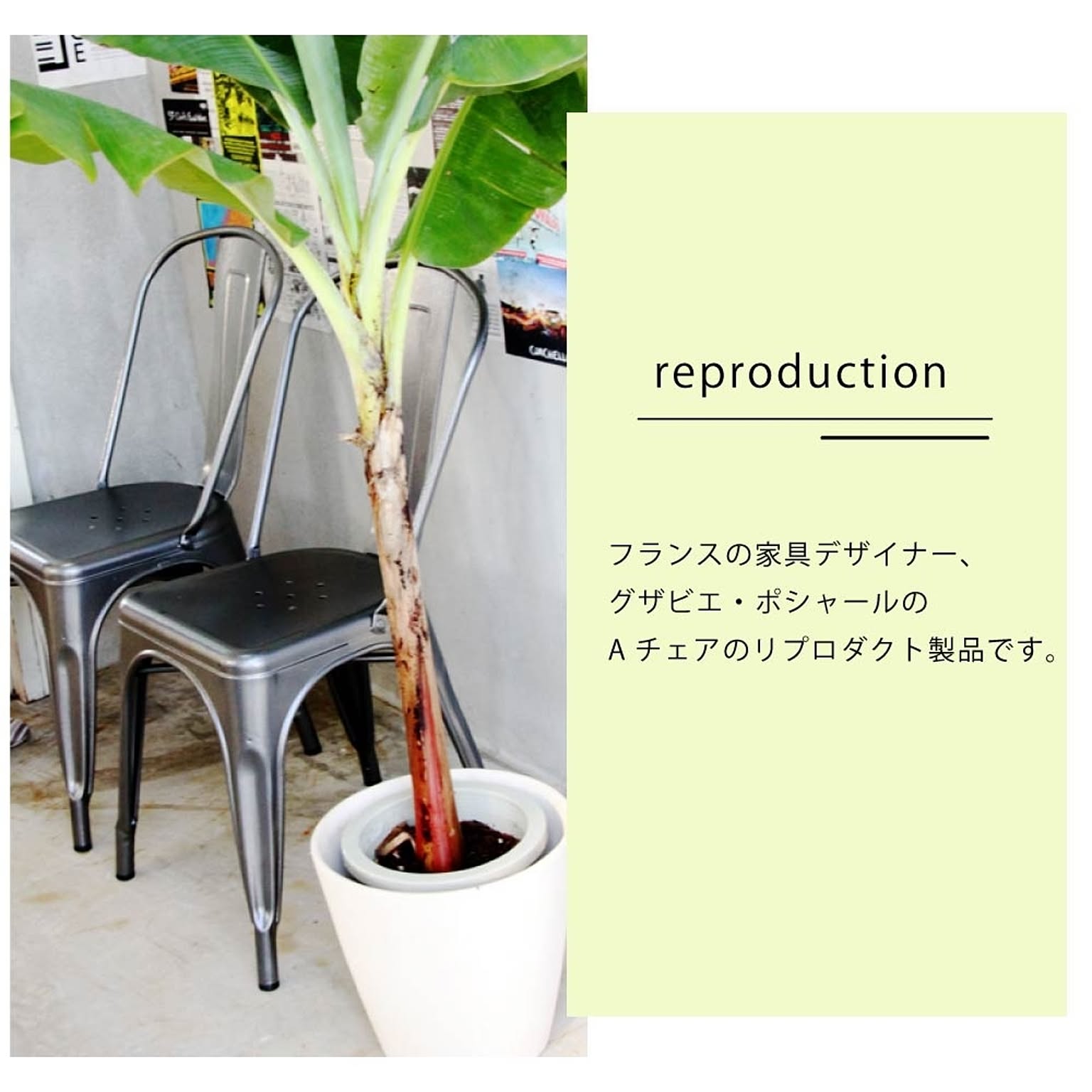 ダイニングチェア