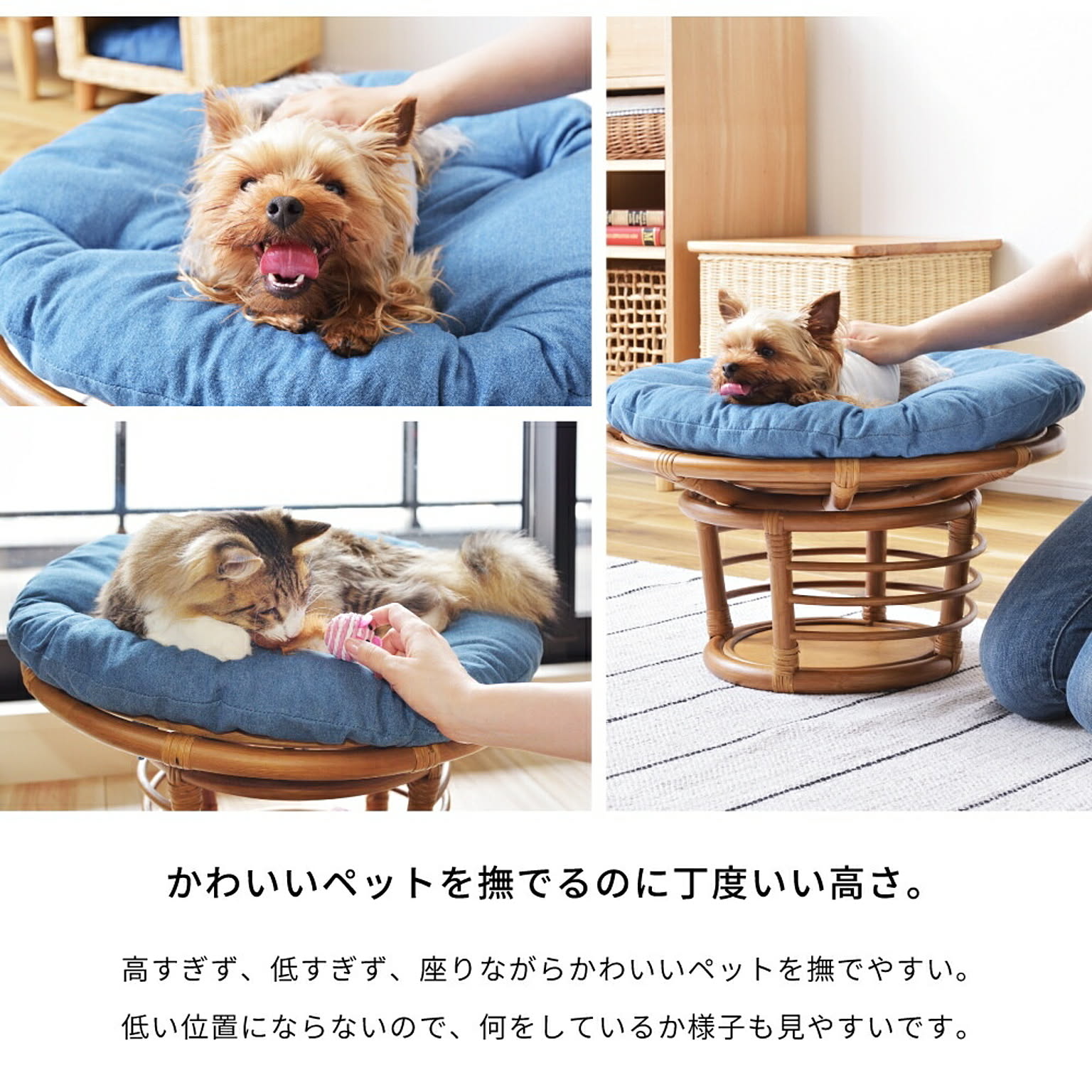 犬用インテリア・犬用家具