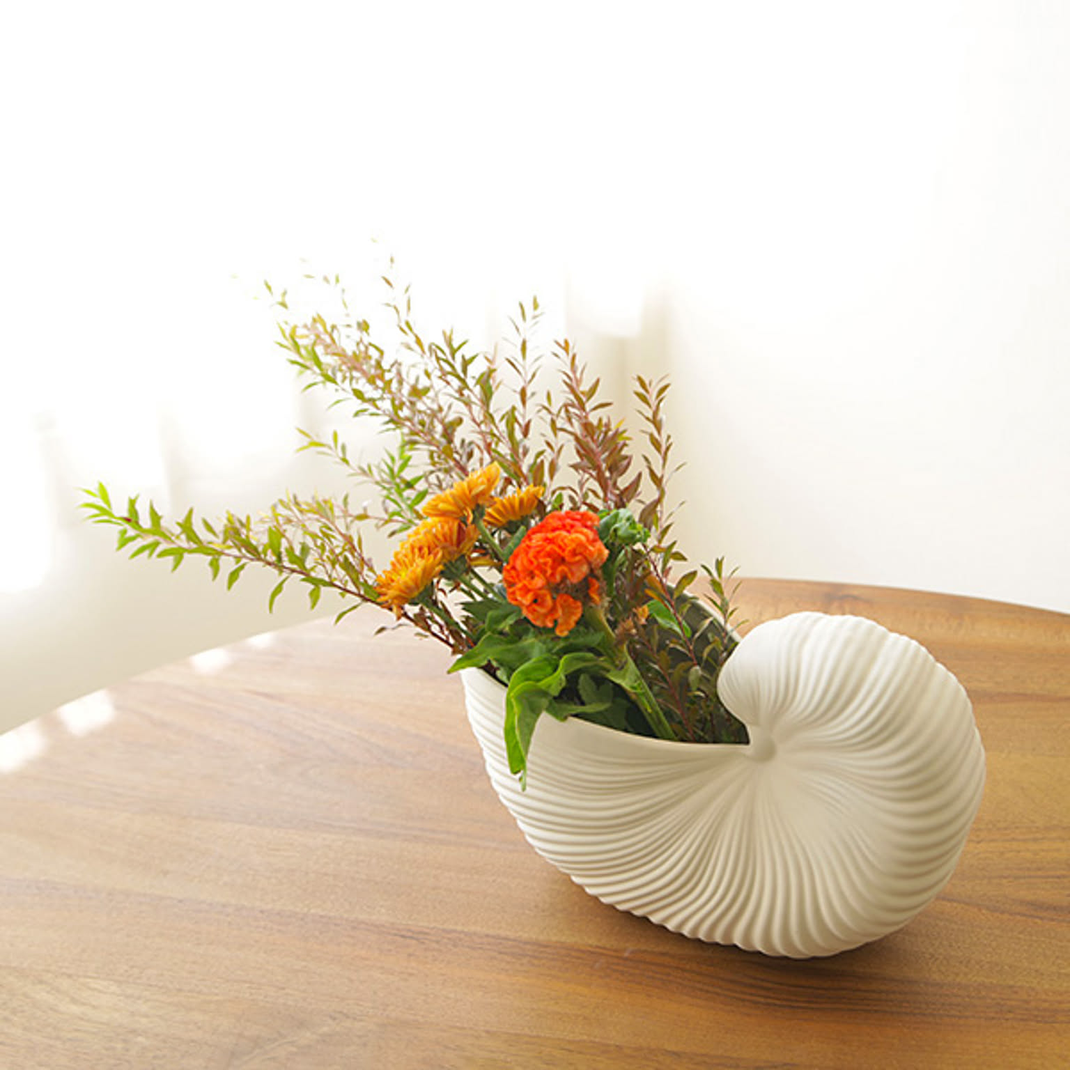 ferm Living Shell Pot　ファームリビング シェルポット 楽天市場】ferm LIVING ファームリビング シェルポット Shell Pot 北欧