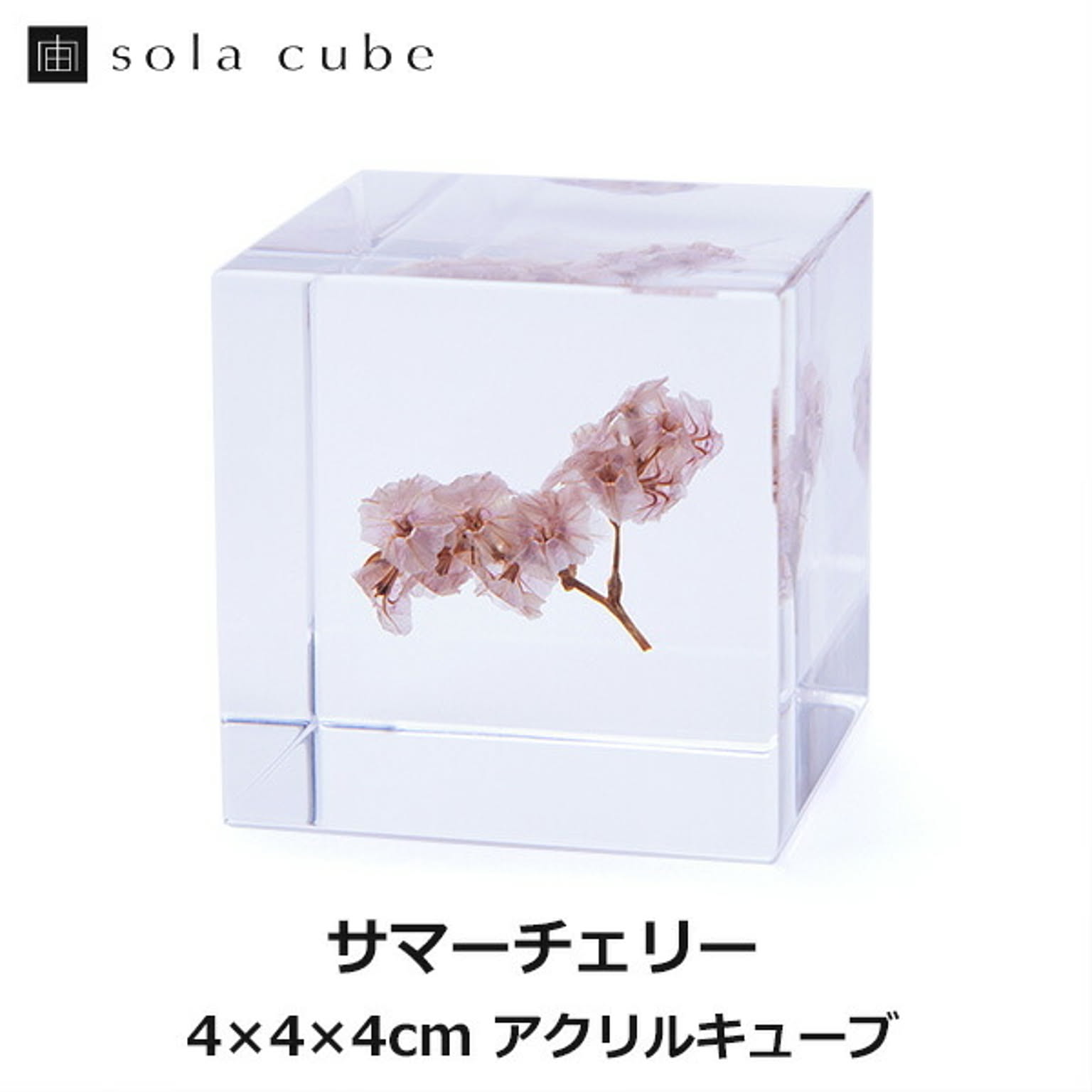 置物・オブジェ