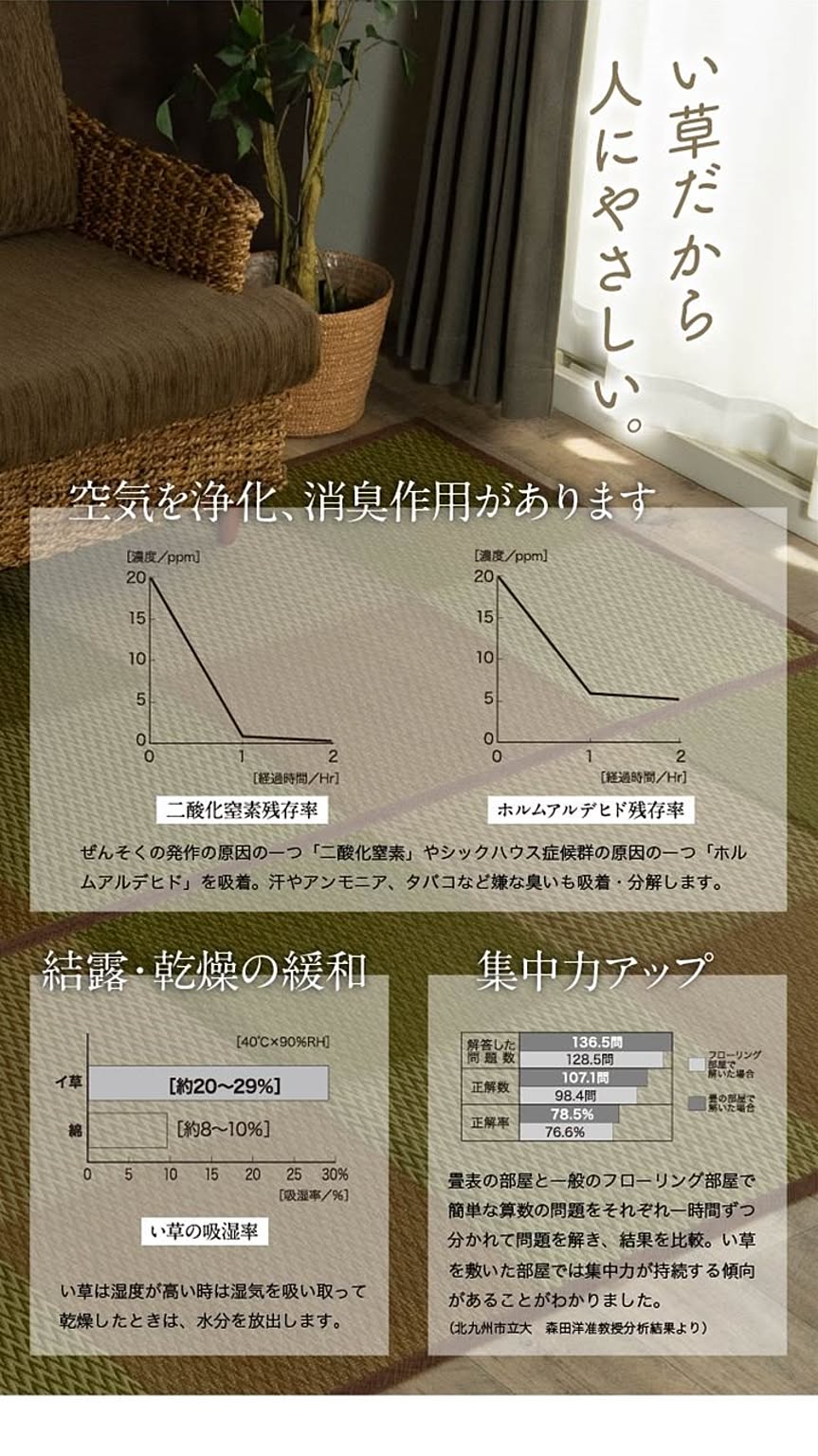 ござ・い草ラグ
