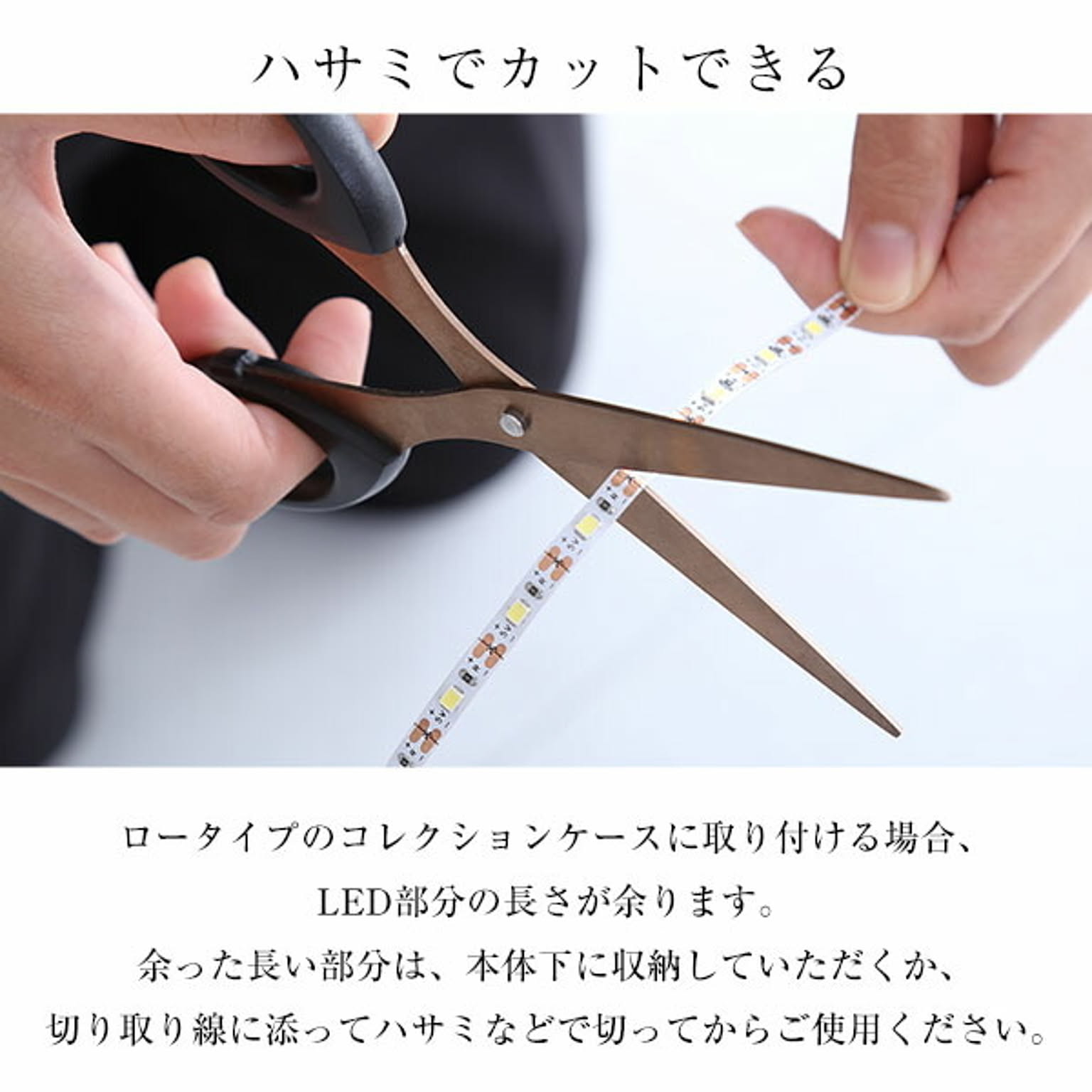 コレクションケース
