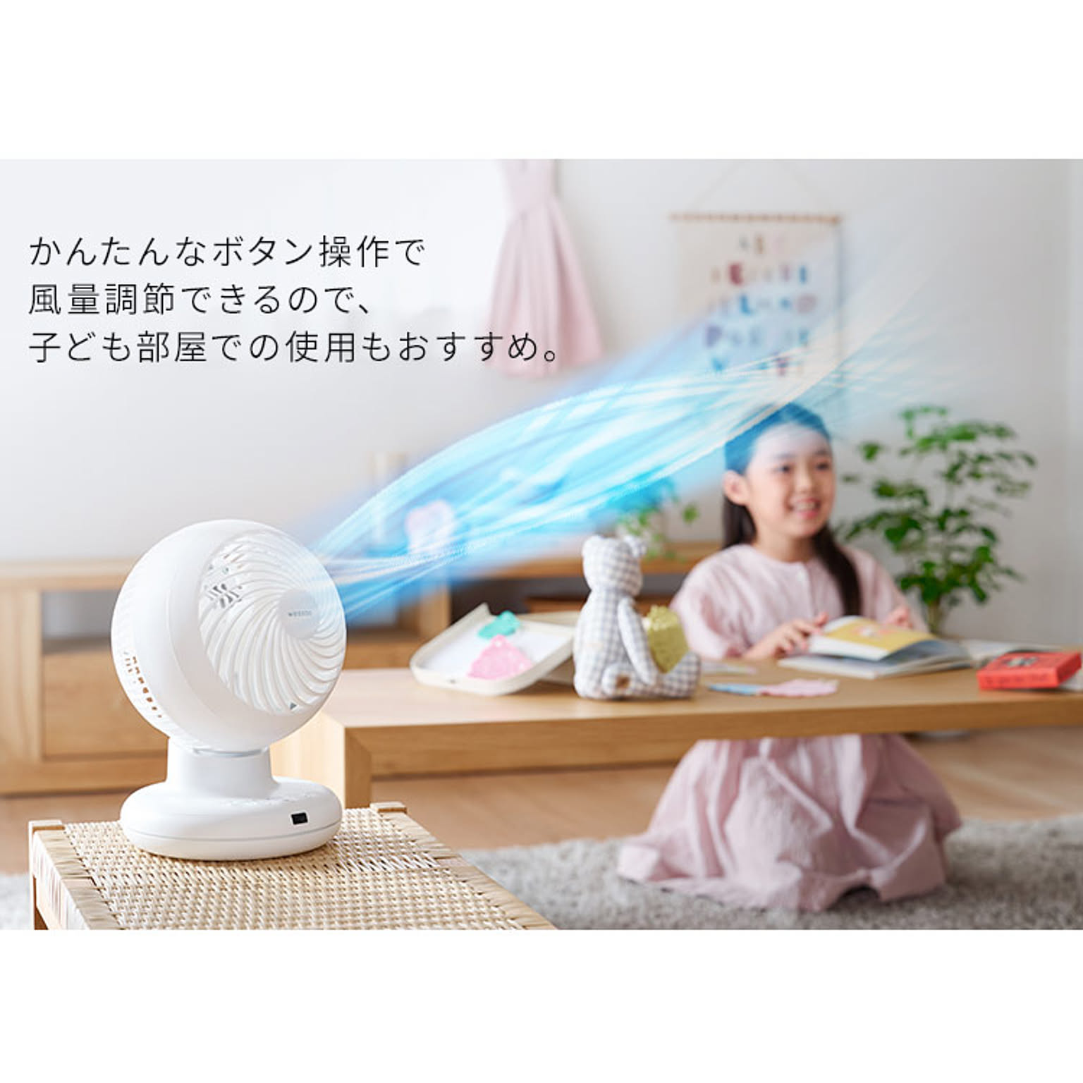 サーキュレーター