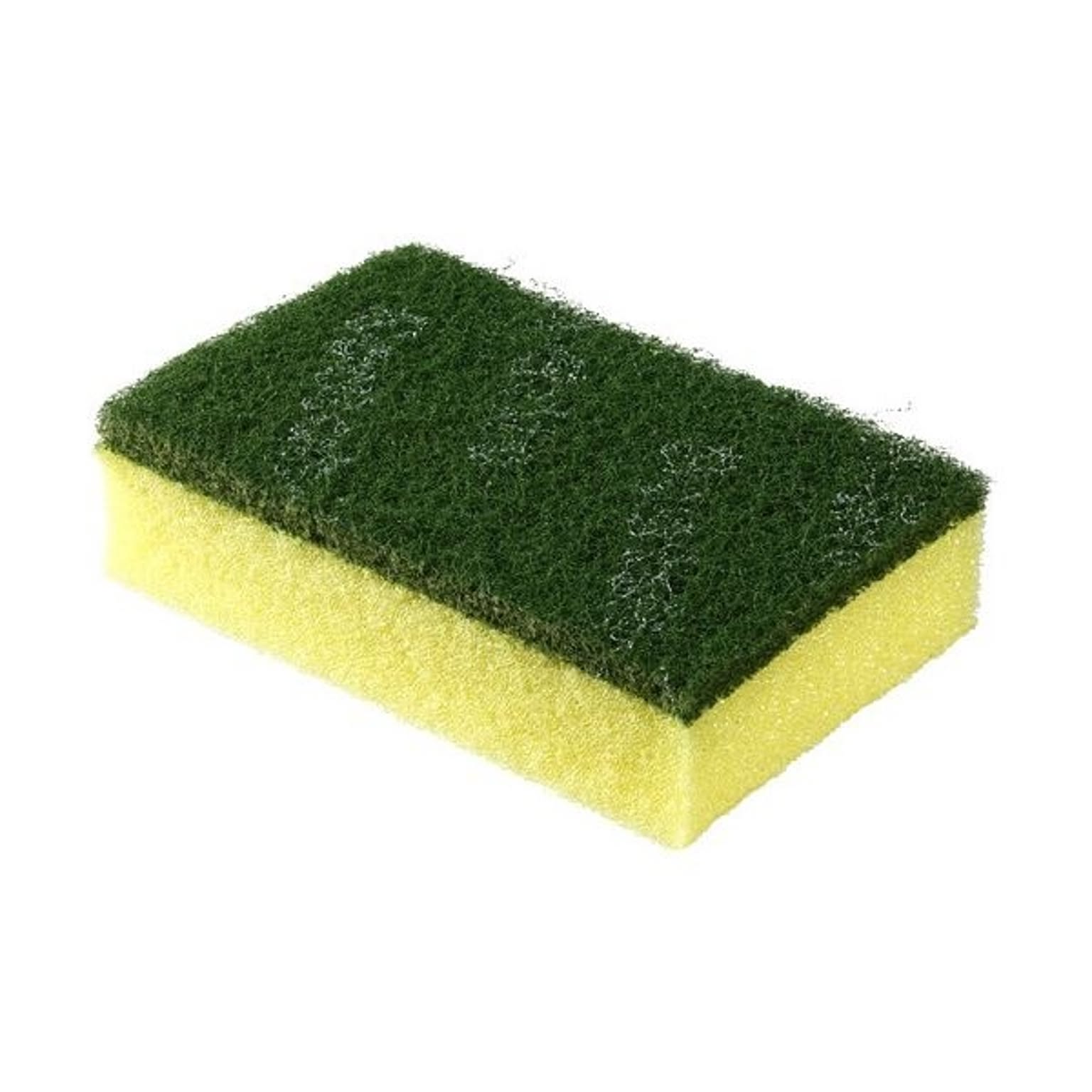 スポンジ