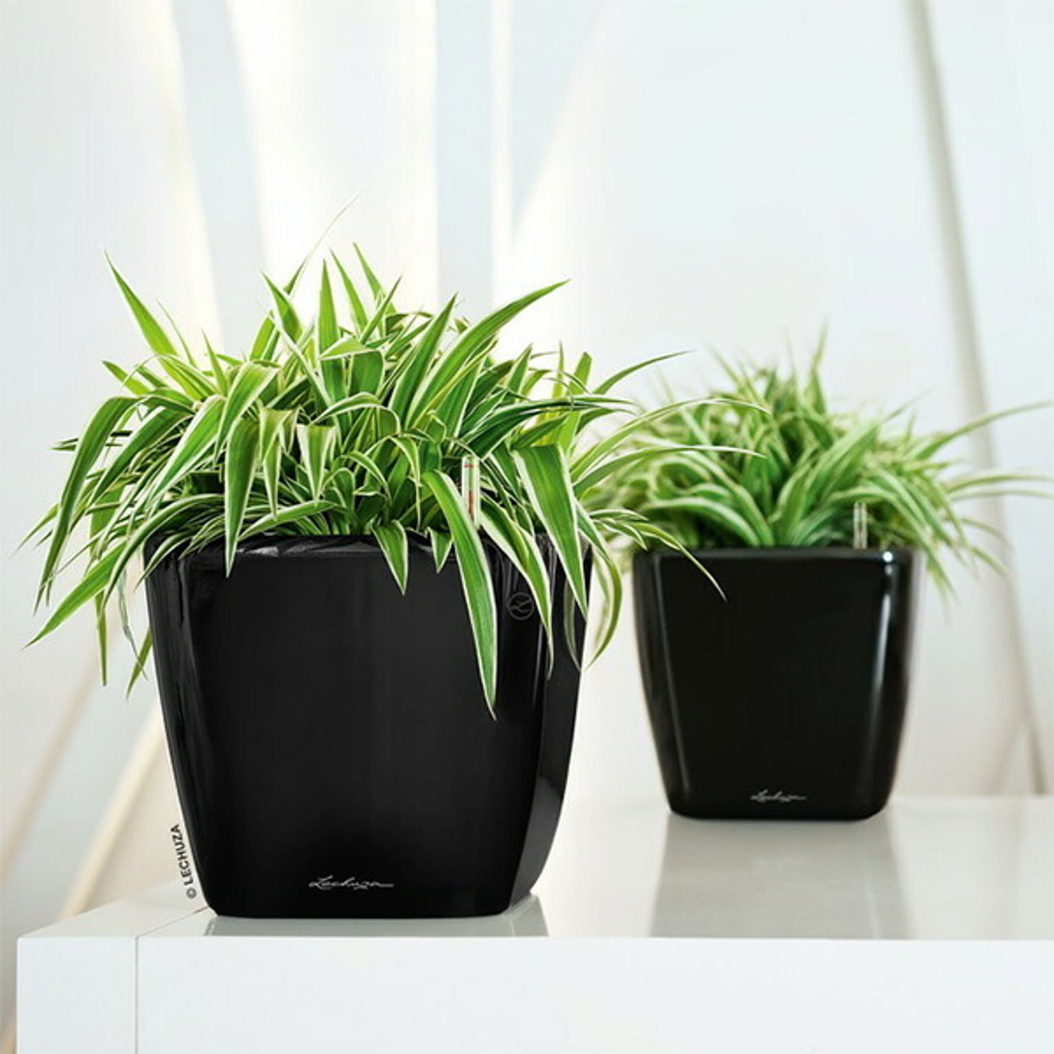 プランター・植木鉢