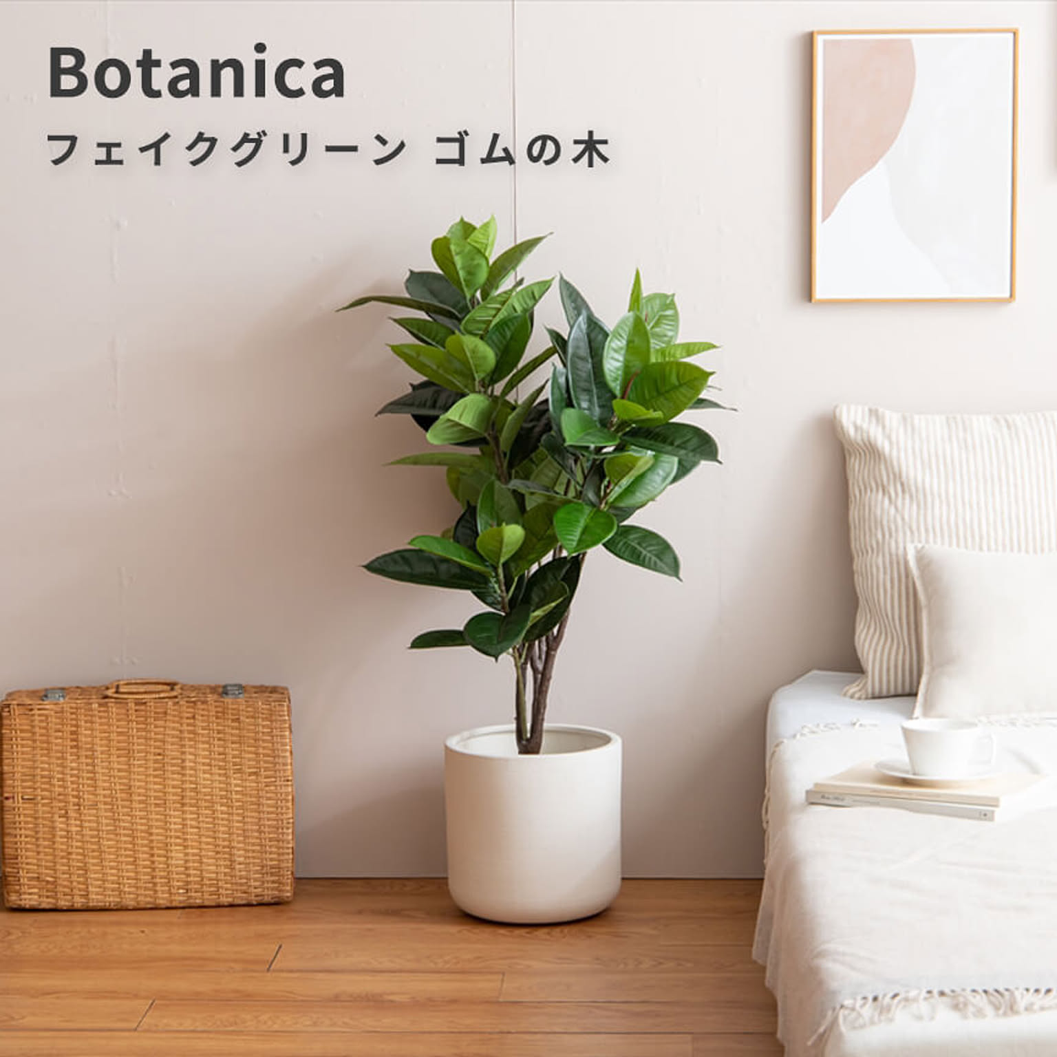 観葉植物
