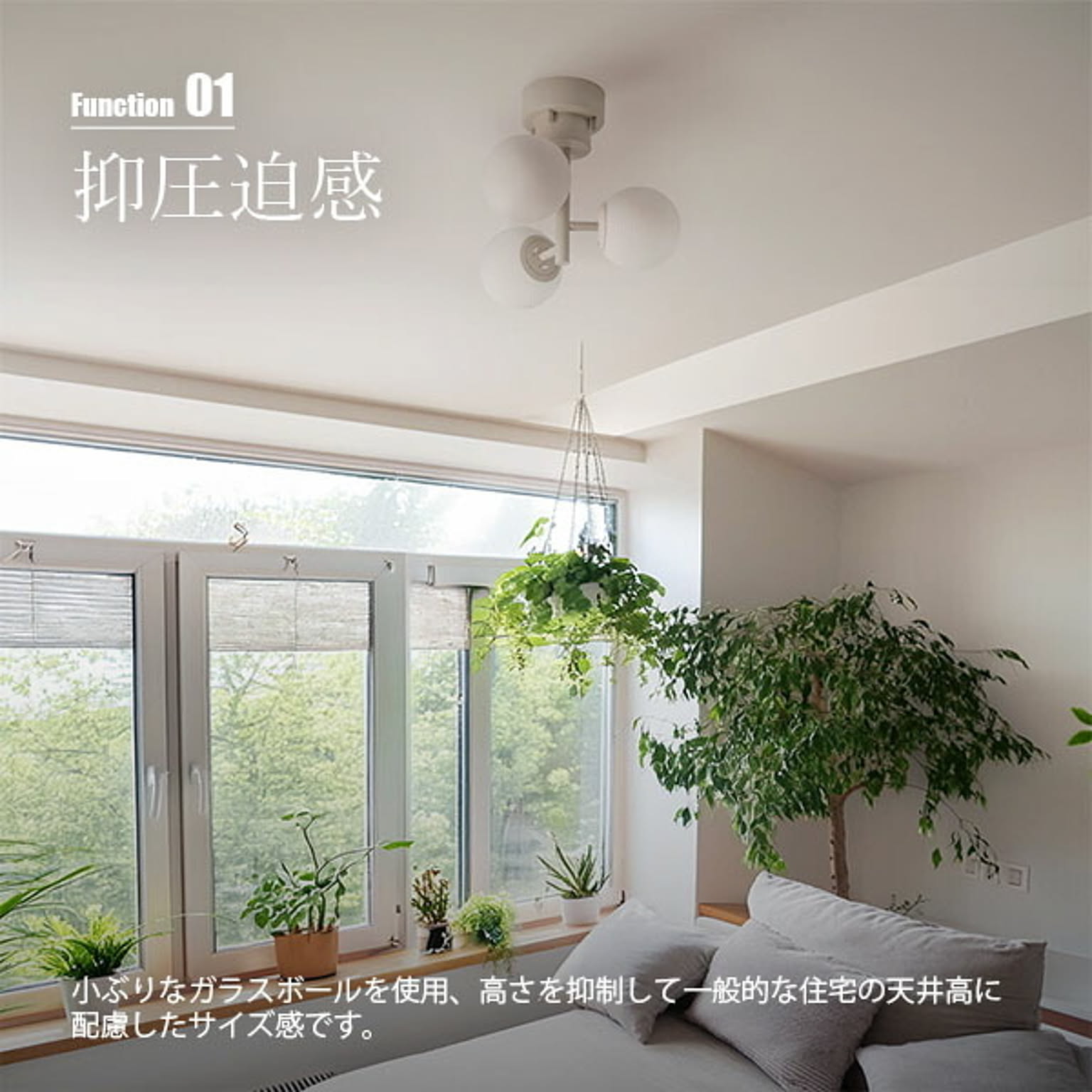 シーリングライト