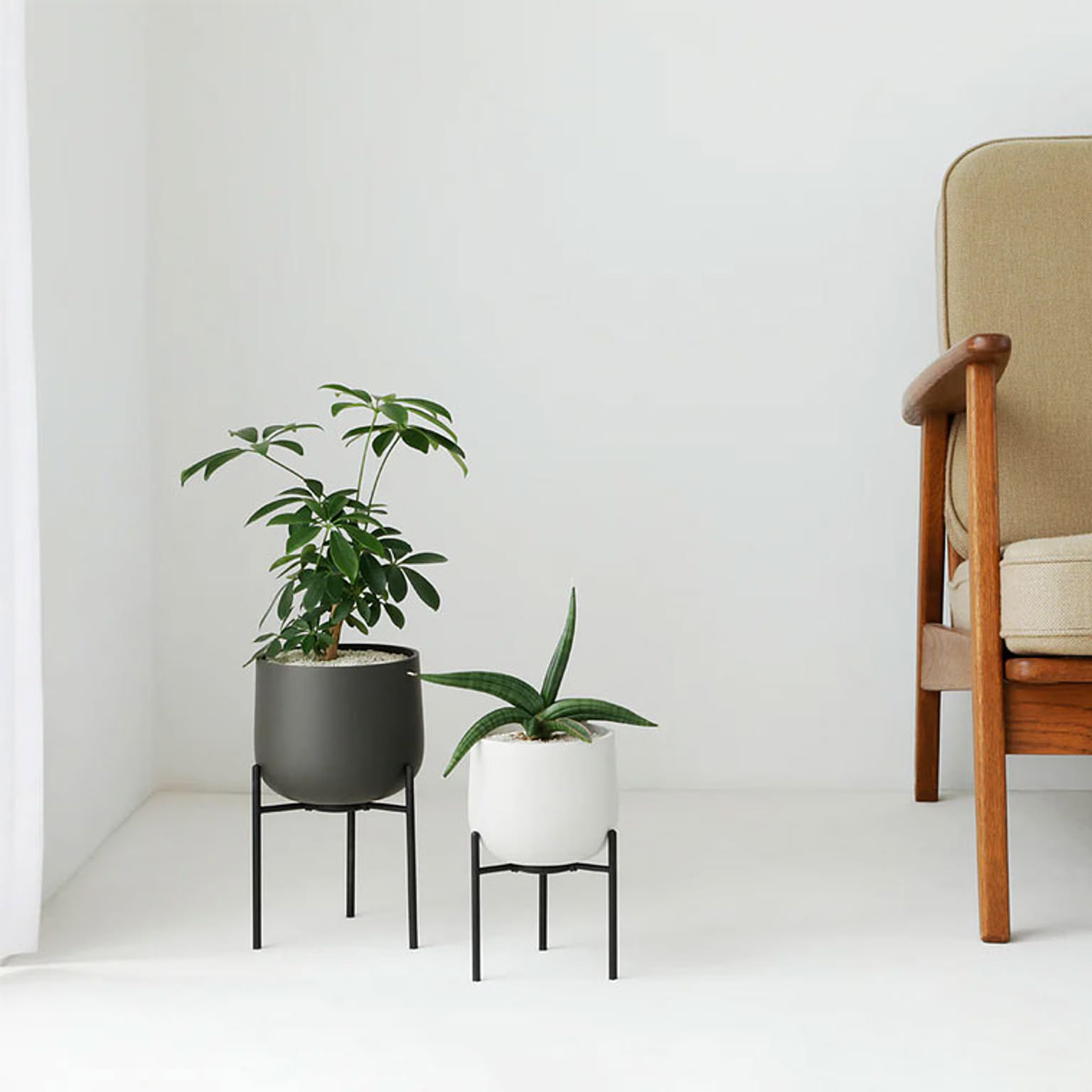 プランター・植木鉢