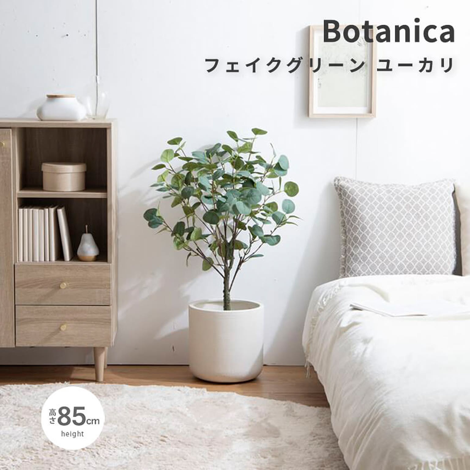 観葉植物