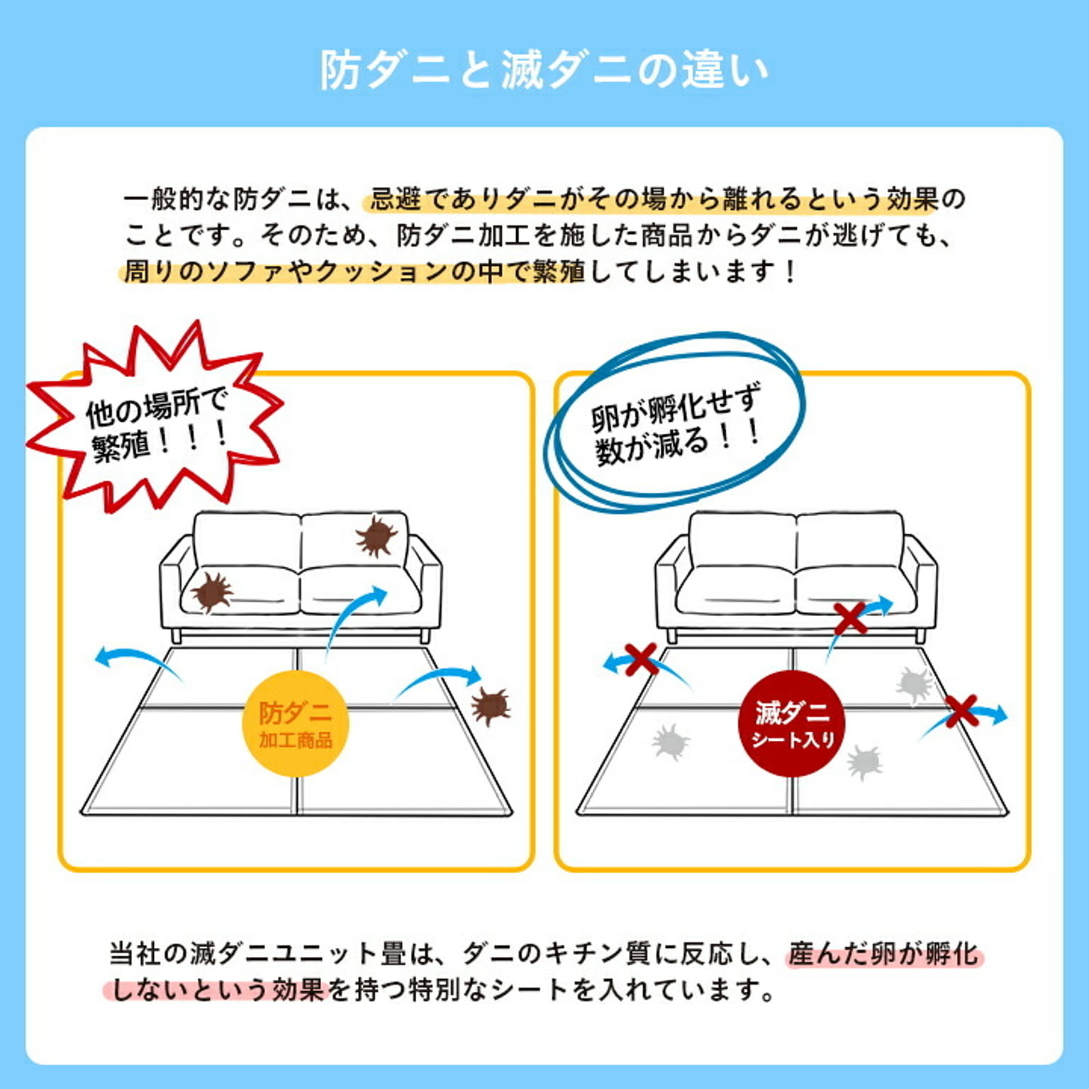 ござ・い草ラグ
