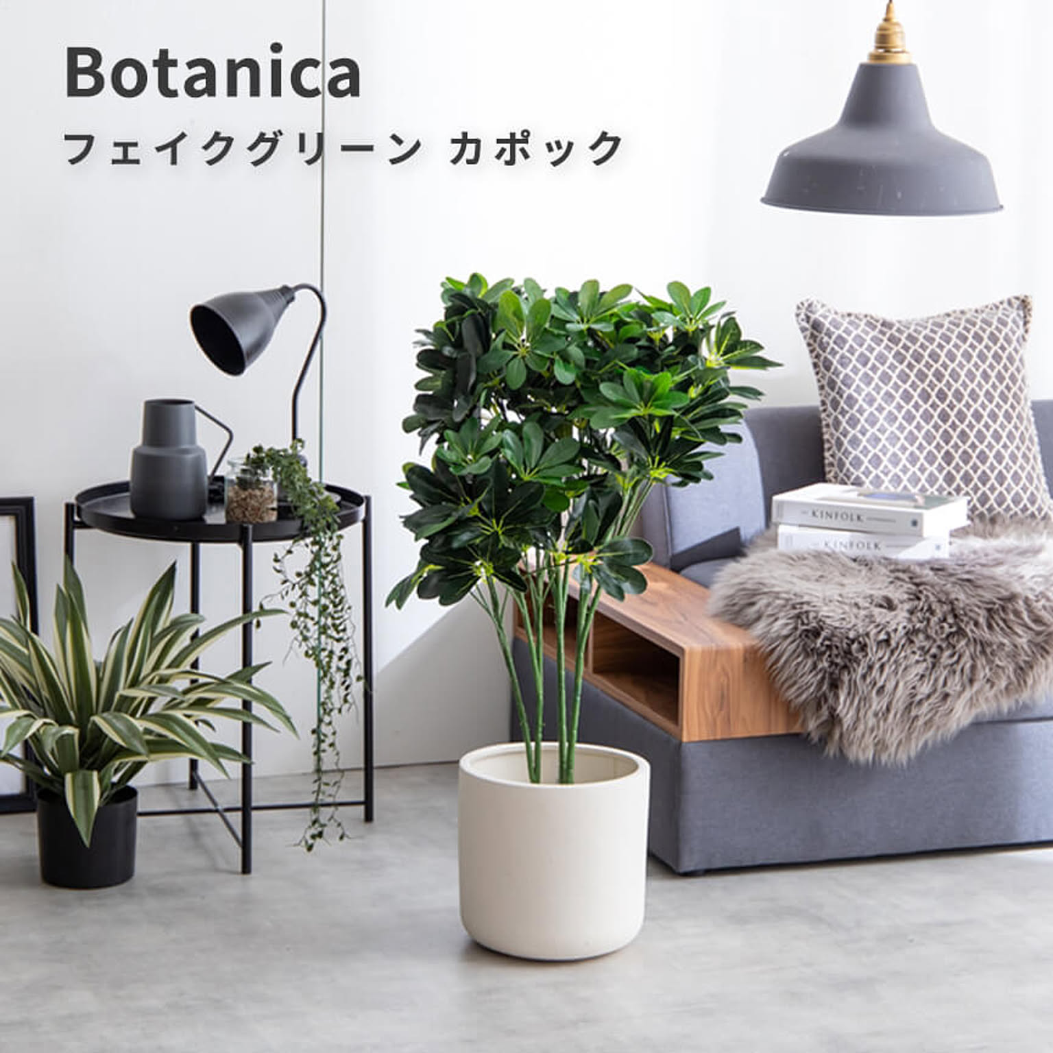観葉植物