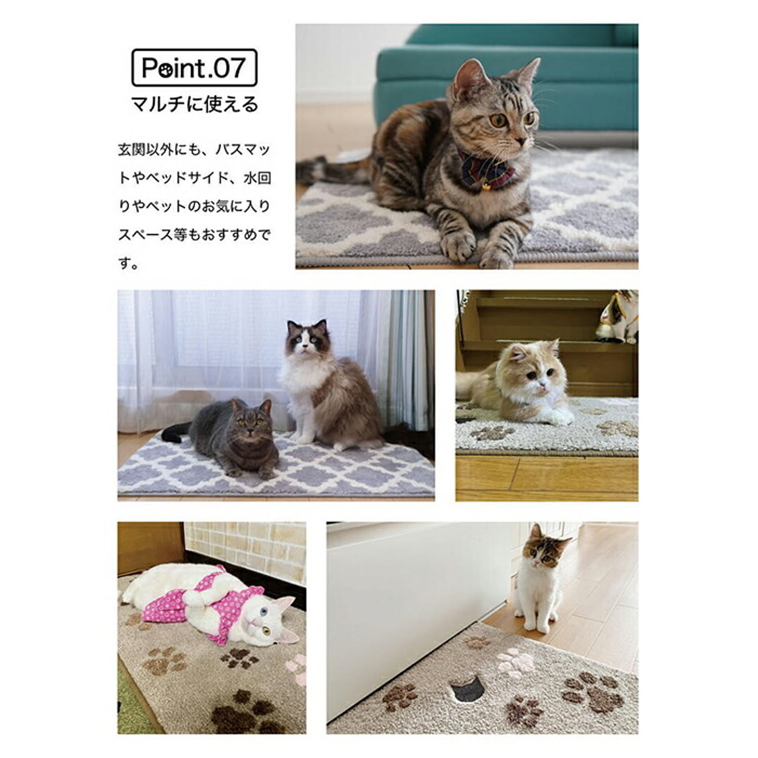 ラグ