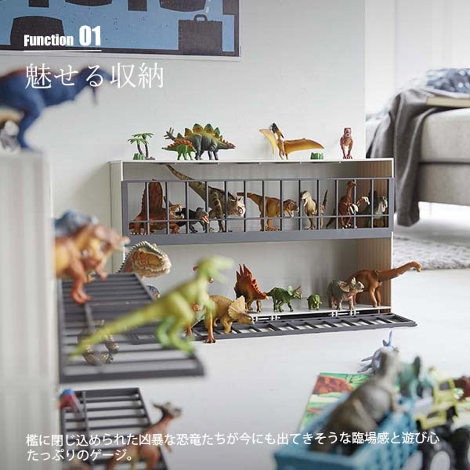 コレクションケース