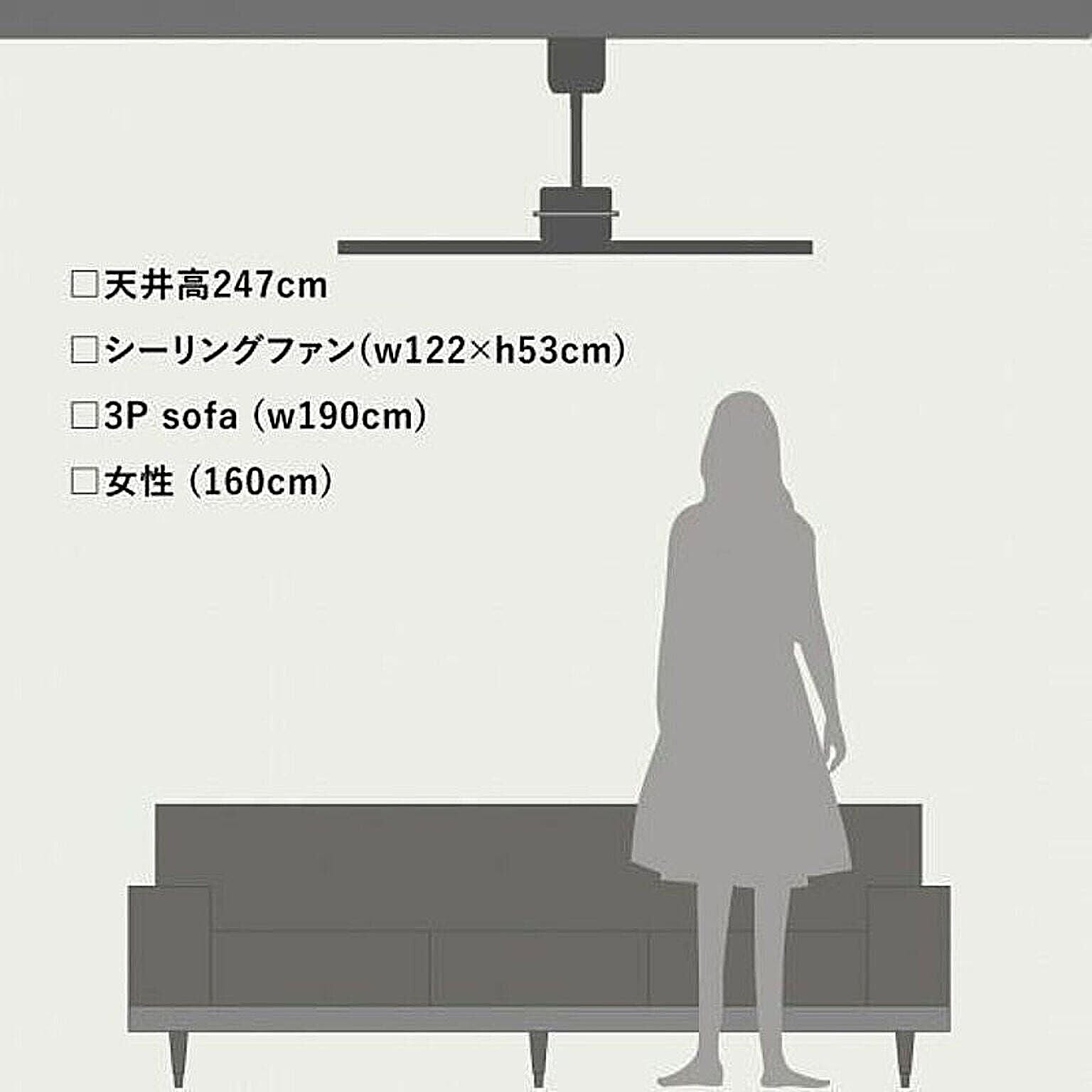 シーリングファンライト