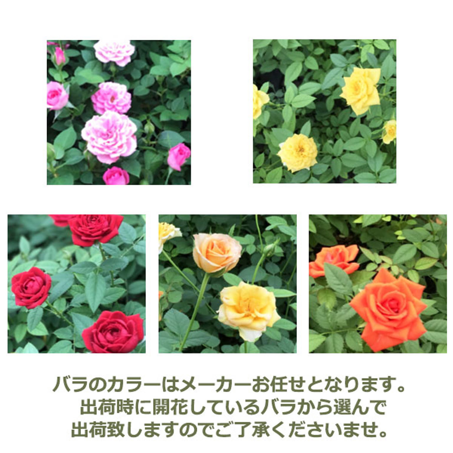 造花・アートフラワー