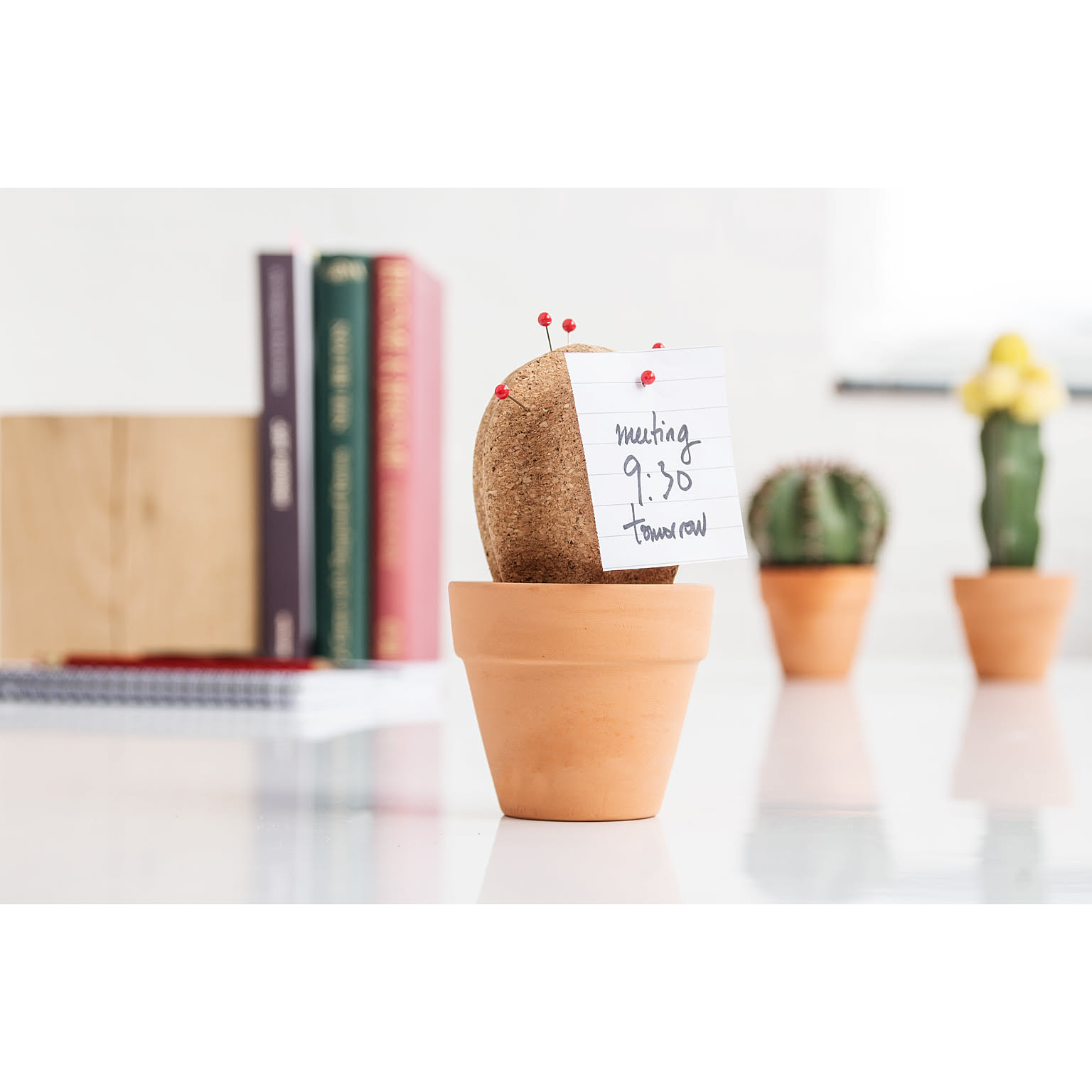 コルク　メッセージボード　SUCK UK Cork Cactus イギリス サックユーケー コルクカクタス